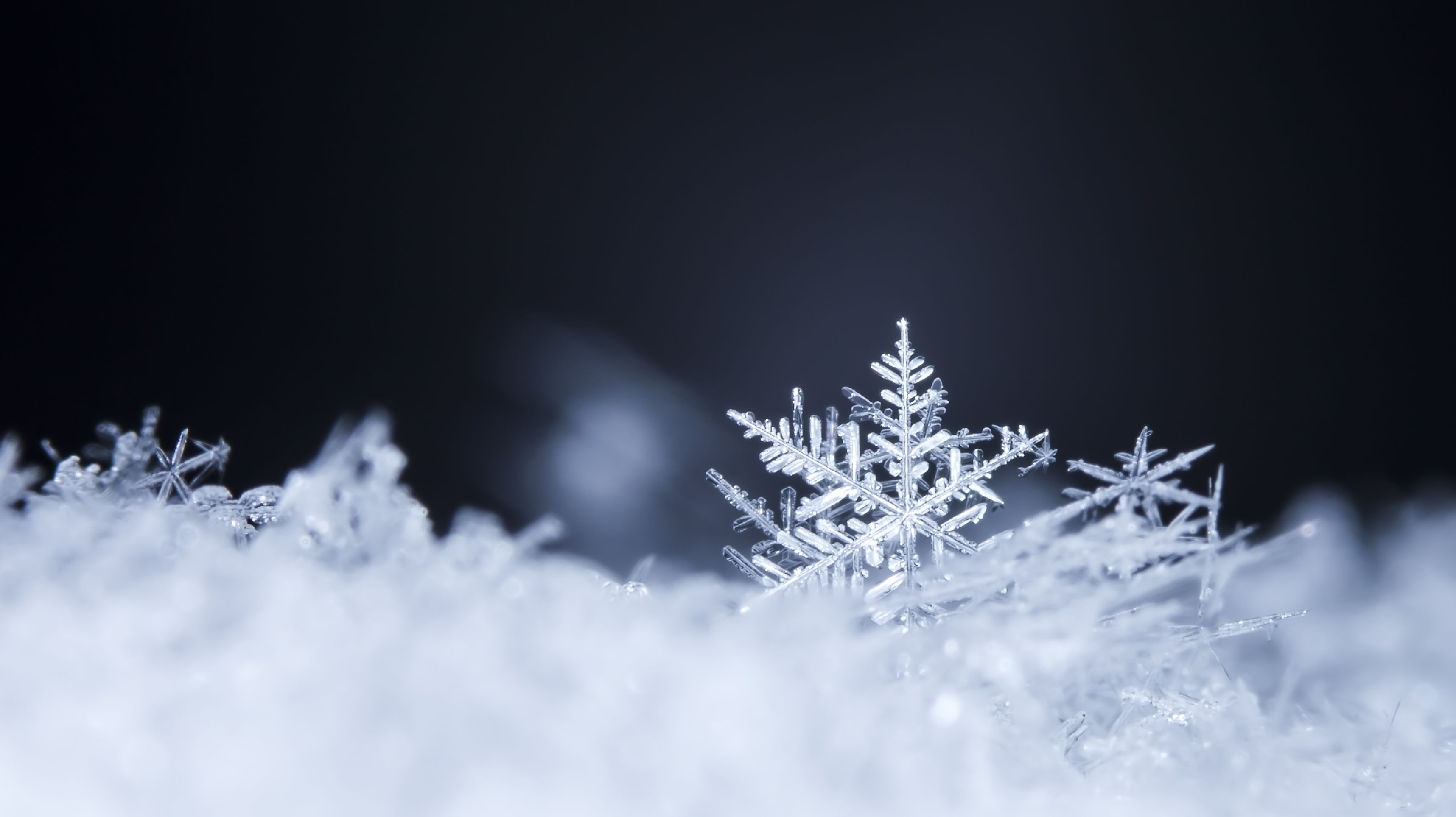 15 Wintry Words for Snowy Weather Across the United States Mental Floss