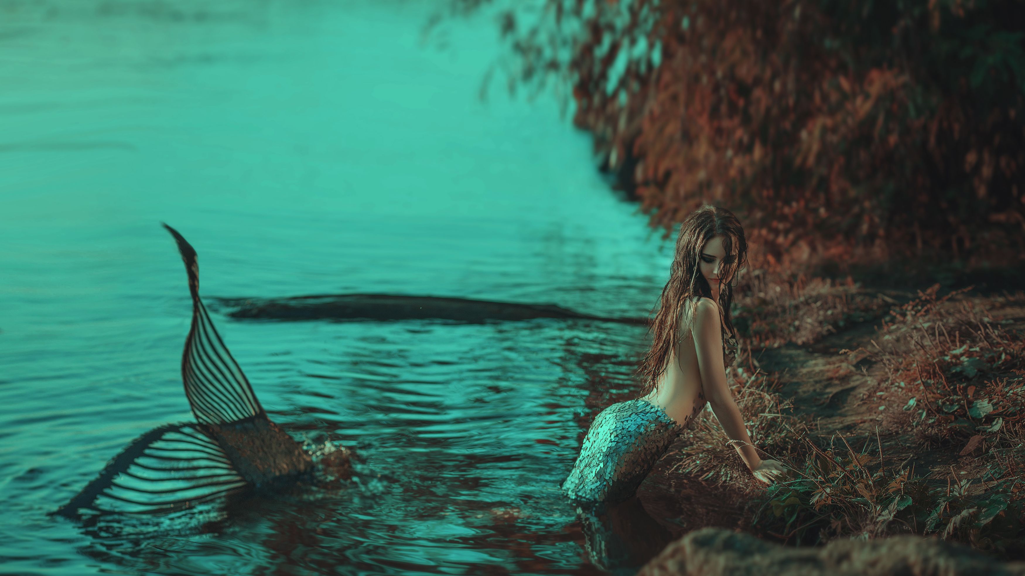 Are Mermaids Real 11 Myths The U S Government Has Addressed