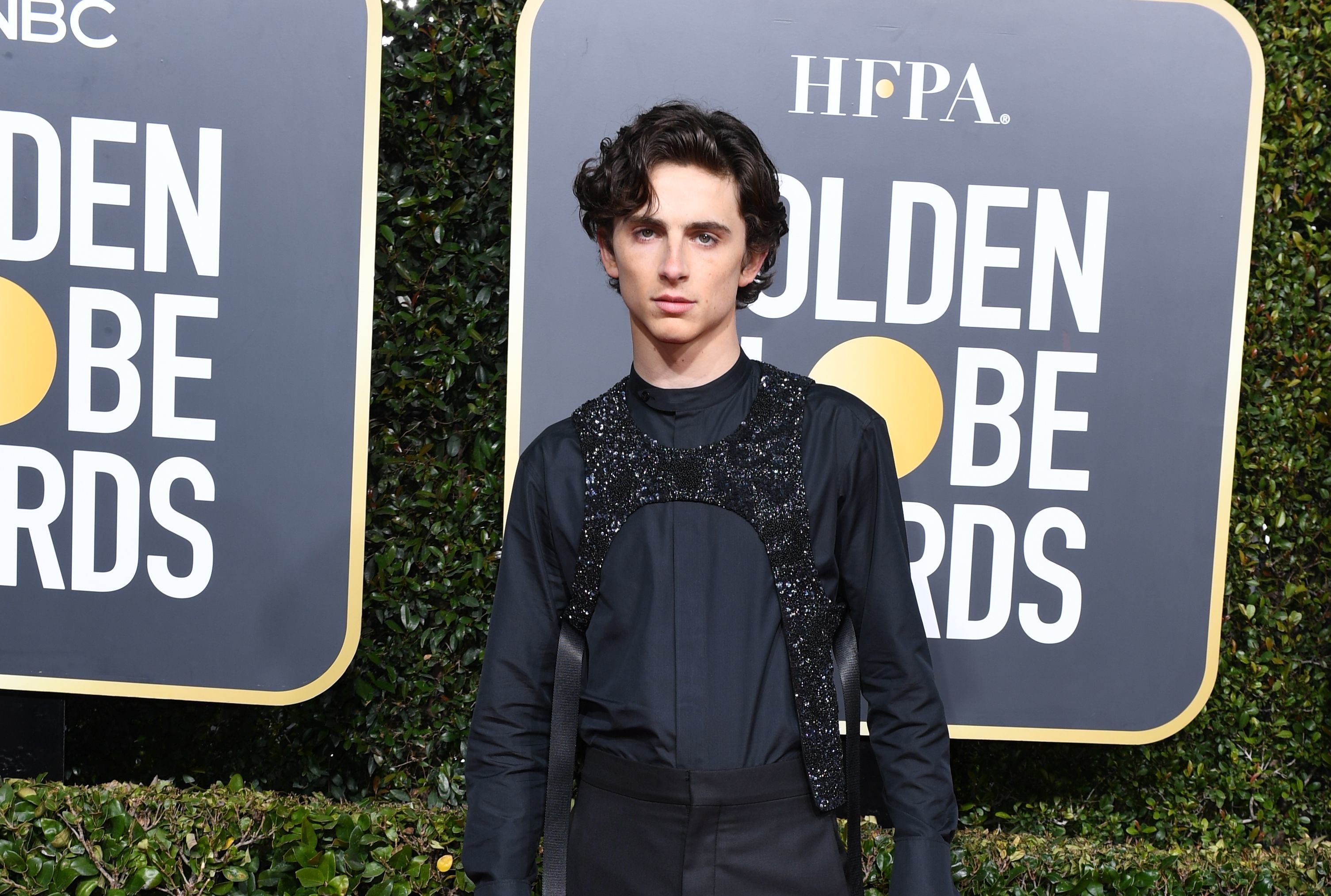 A Terrifying Timothee Chalamet Dummy Is Selling On Ebay For More Than 120 000 Mental Floss