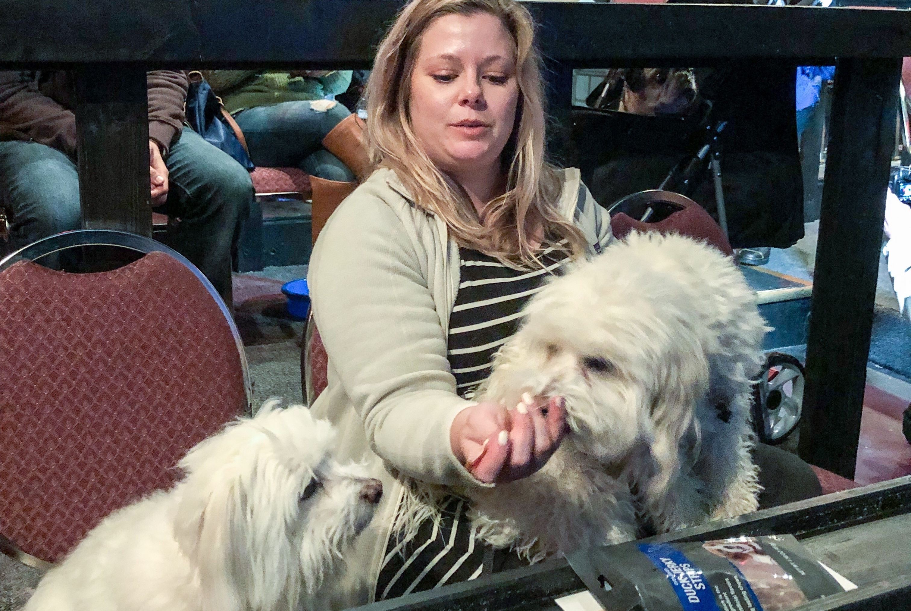 Plano Texas Is Home To A Dog Friendly Movie Theater That Serves