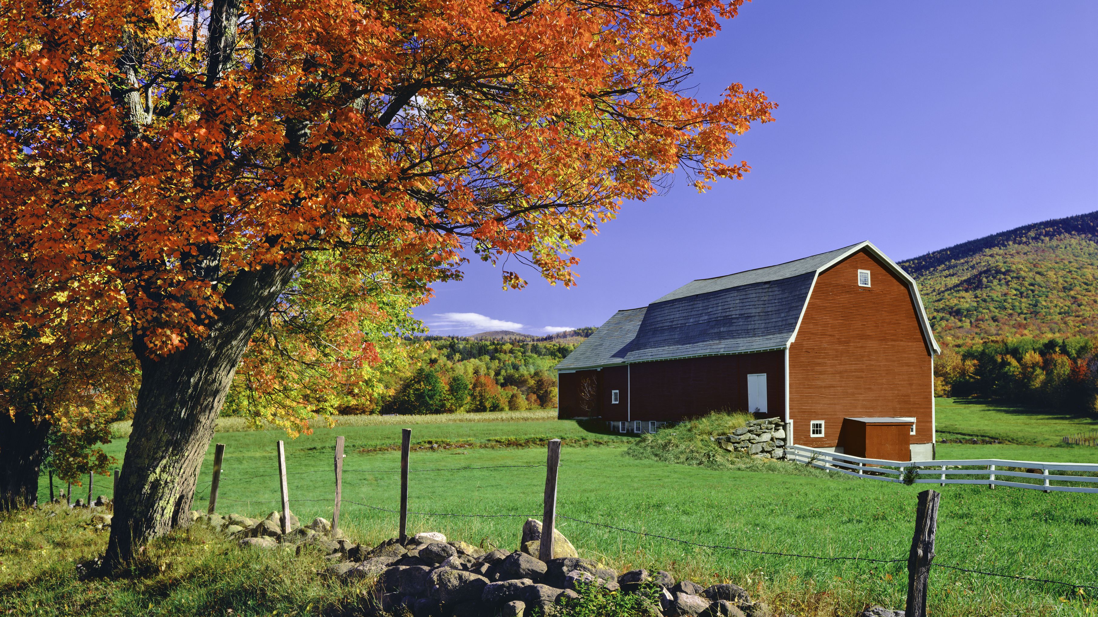 Why Are Barns Usually Red? Mental Floss