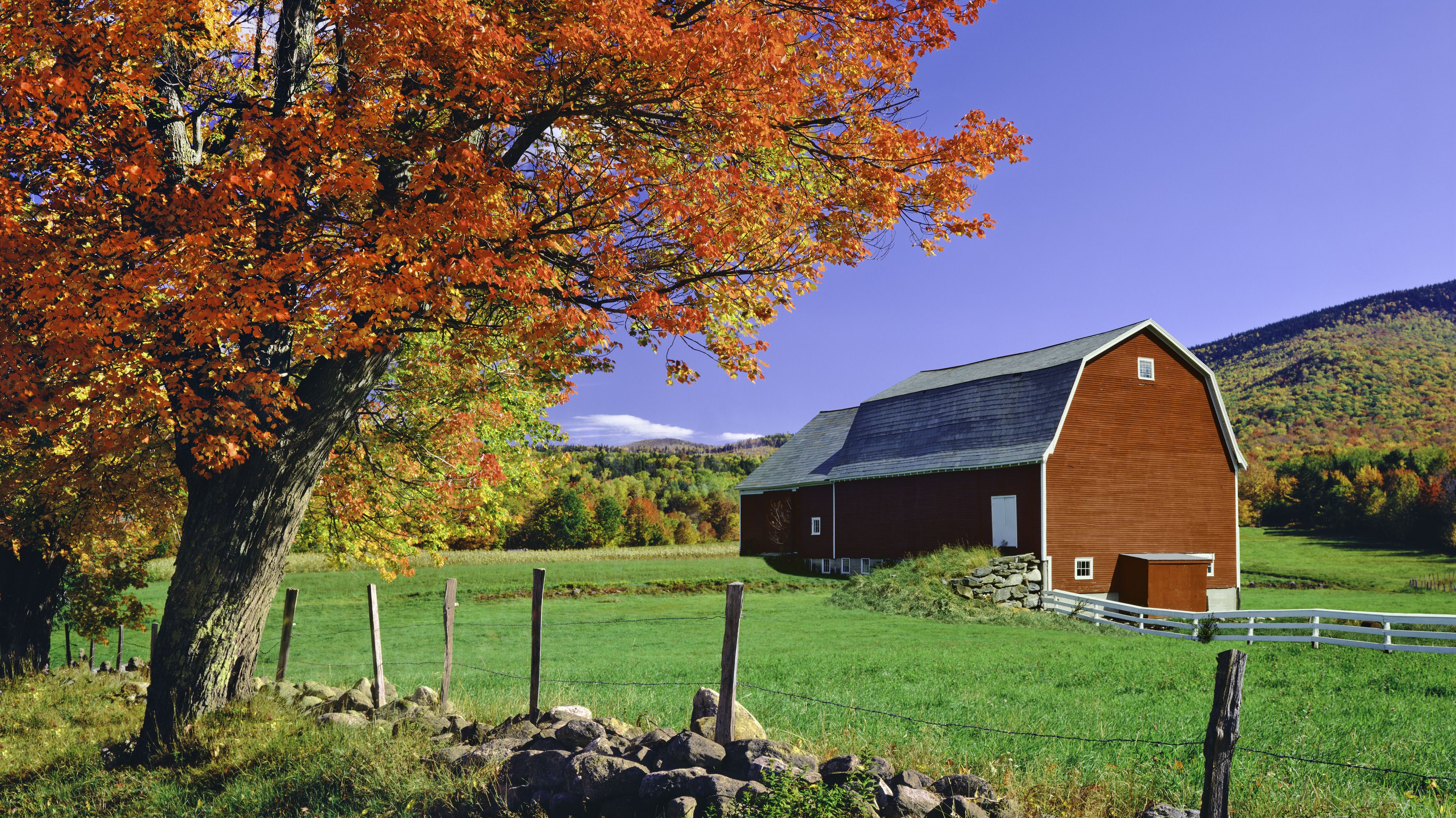 Why Are Barns Usually Red Mental Floss