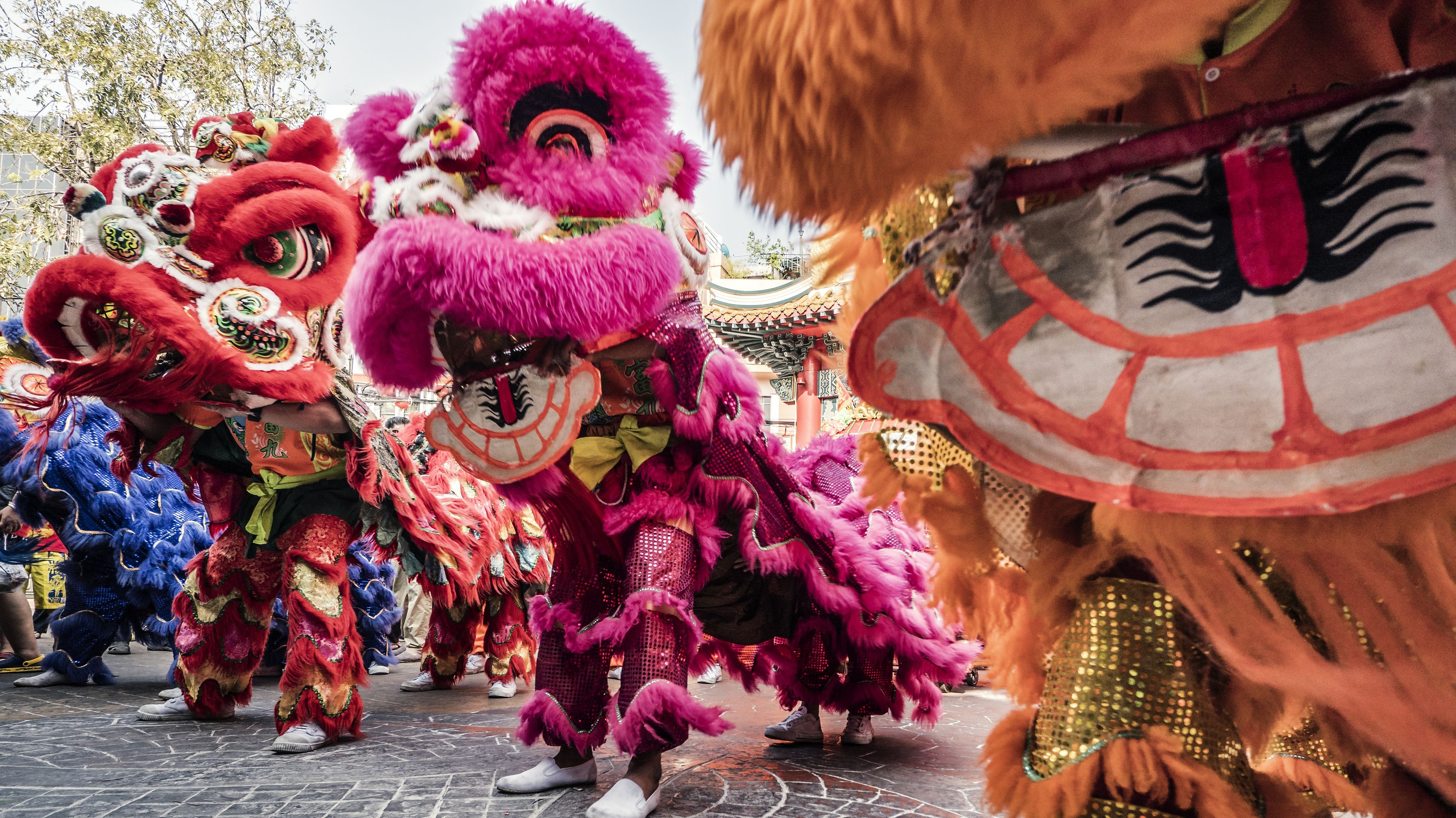 how to know when is chinese new year