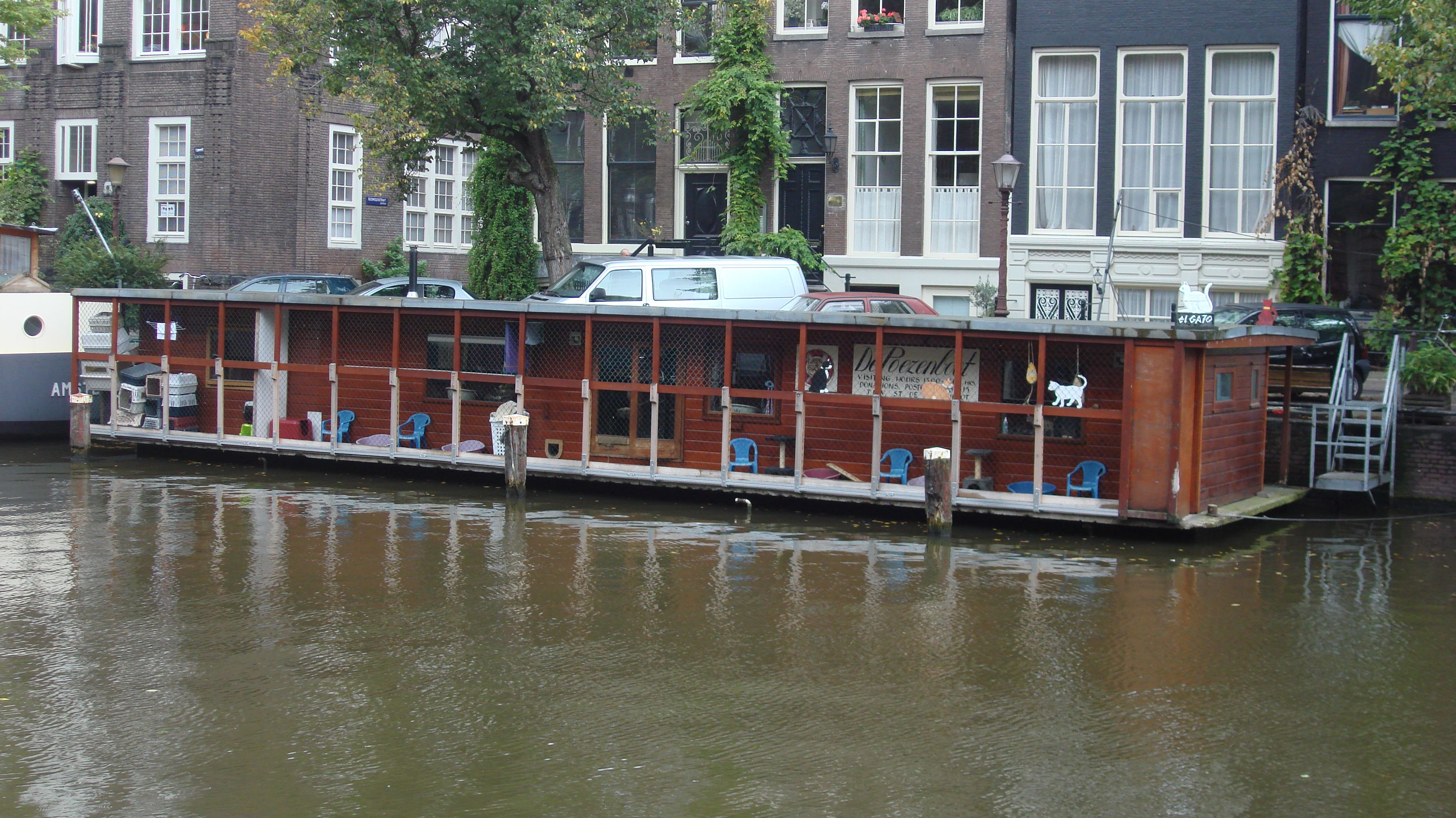 Amsterdam Is Home To A Houseboat Full Of Cats And You Can Pet Them