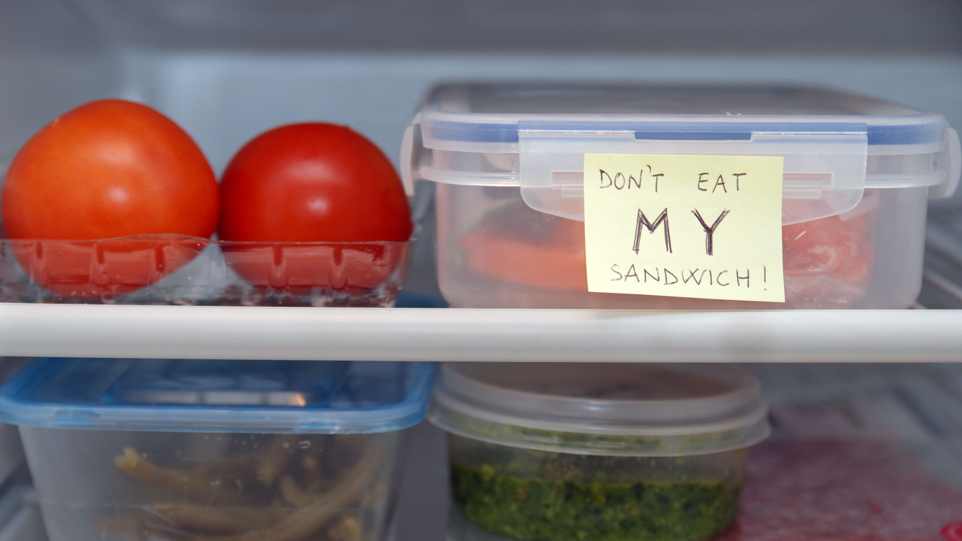 refrigerated lunch box