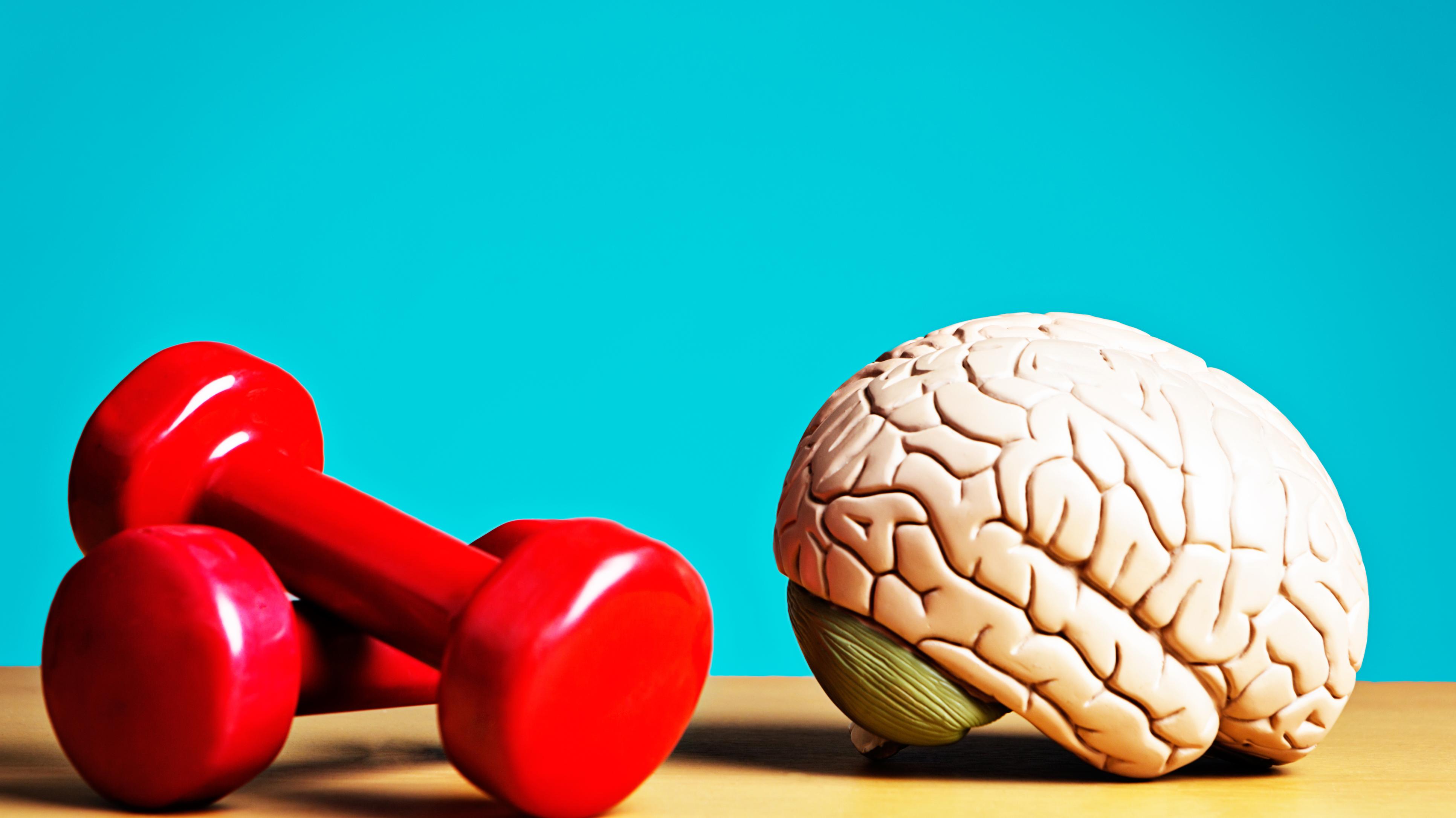 Here s How To Get A Month s Worth Of Memory Training In 30 Minutes