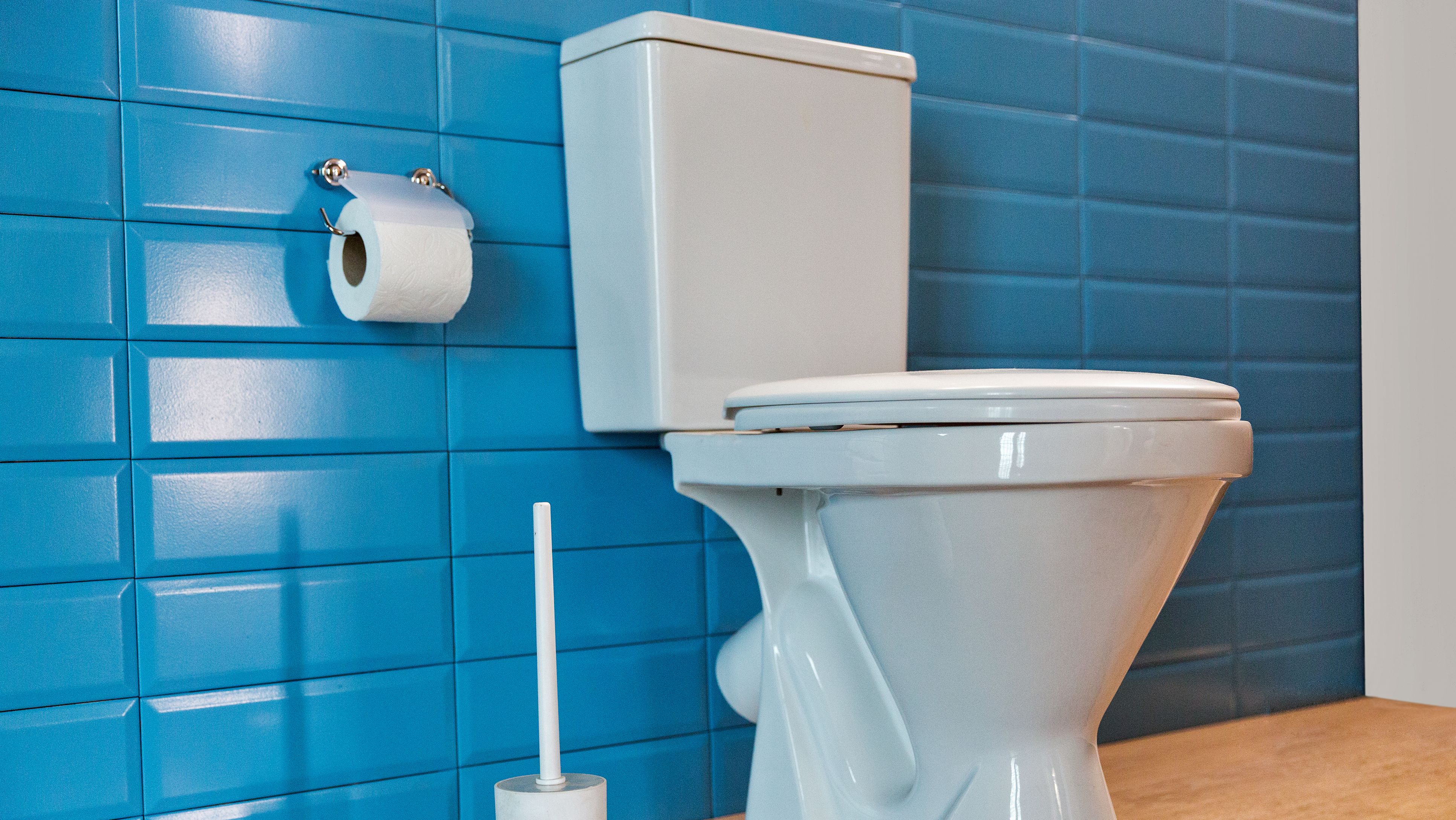More Than 1.4 Million 'Exploding' Toilet Flushers Recalled Mental Floss