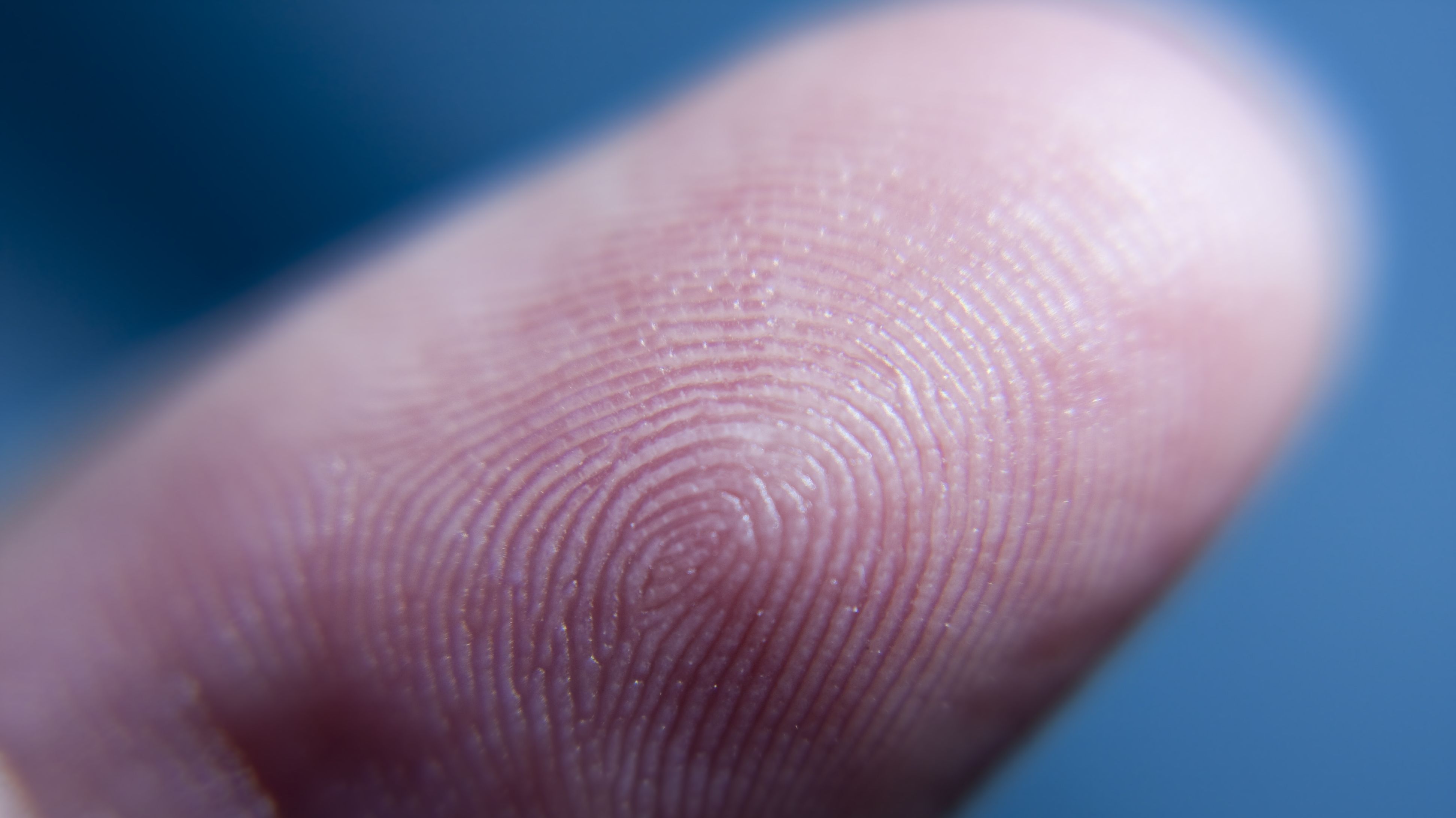 This Delta Fingerprint Feature Could Change Everything - o661qka