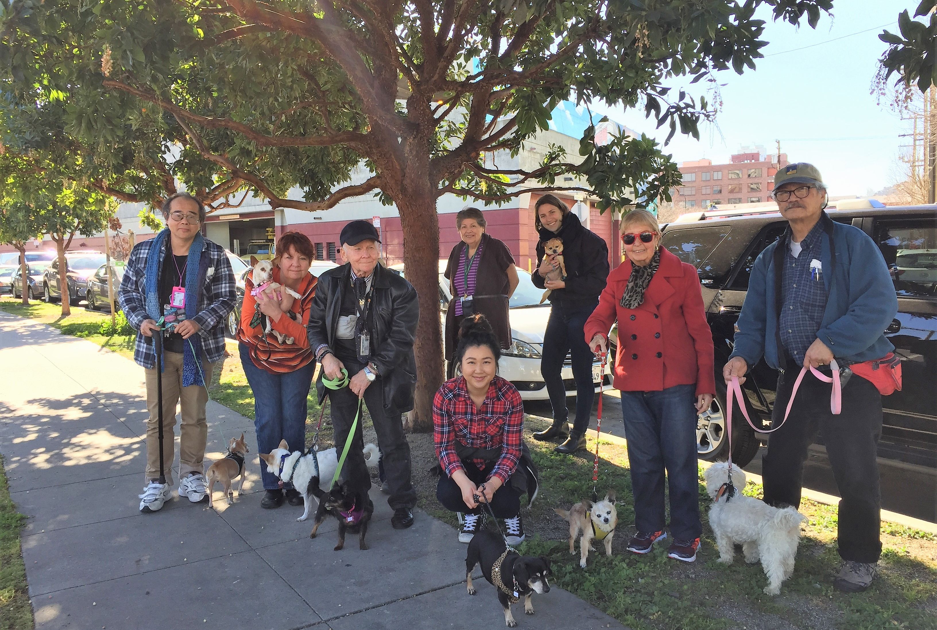 samsung soundbar hofer