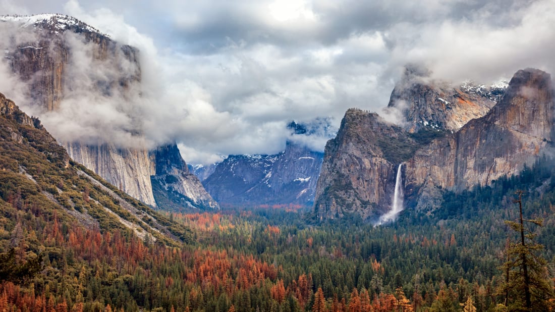 iStock