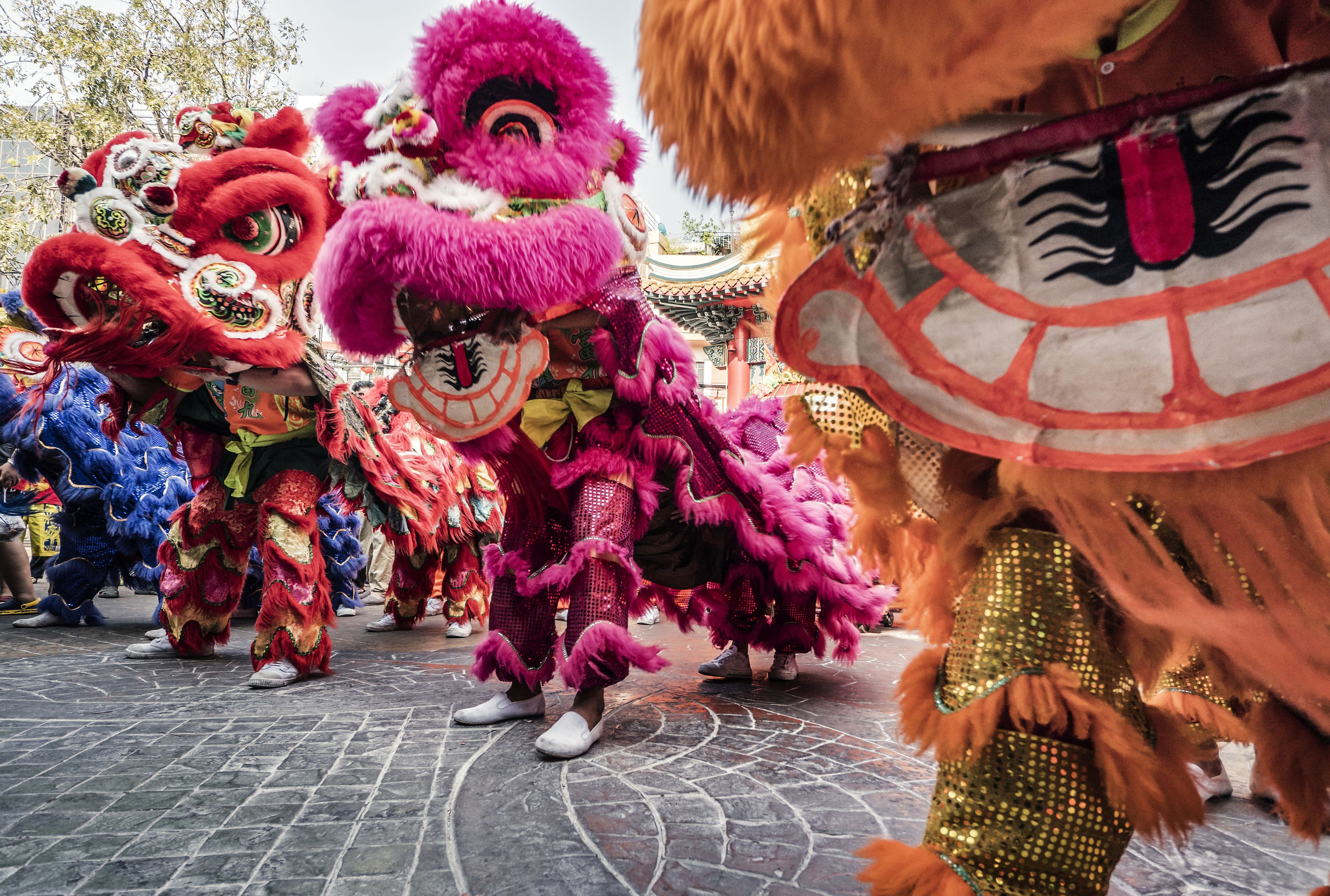 Chinese New Year Facts Mental Floss
