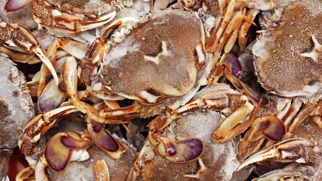 Your Plastic Wrap Could Soon Be Made From Crab Shells And
