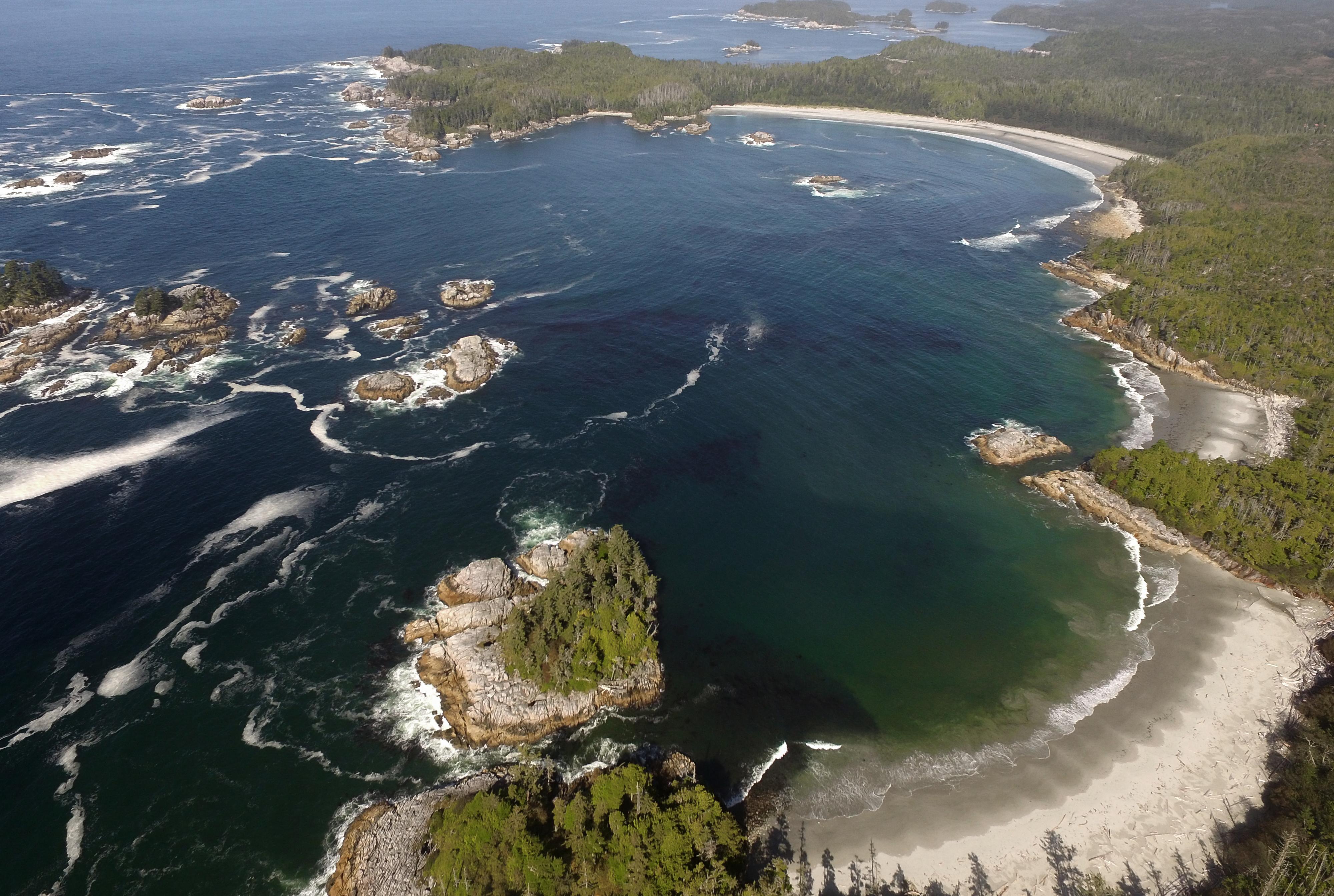 Ice Age Human Footprints In Canada Reveal A Walk On The