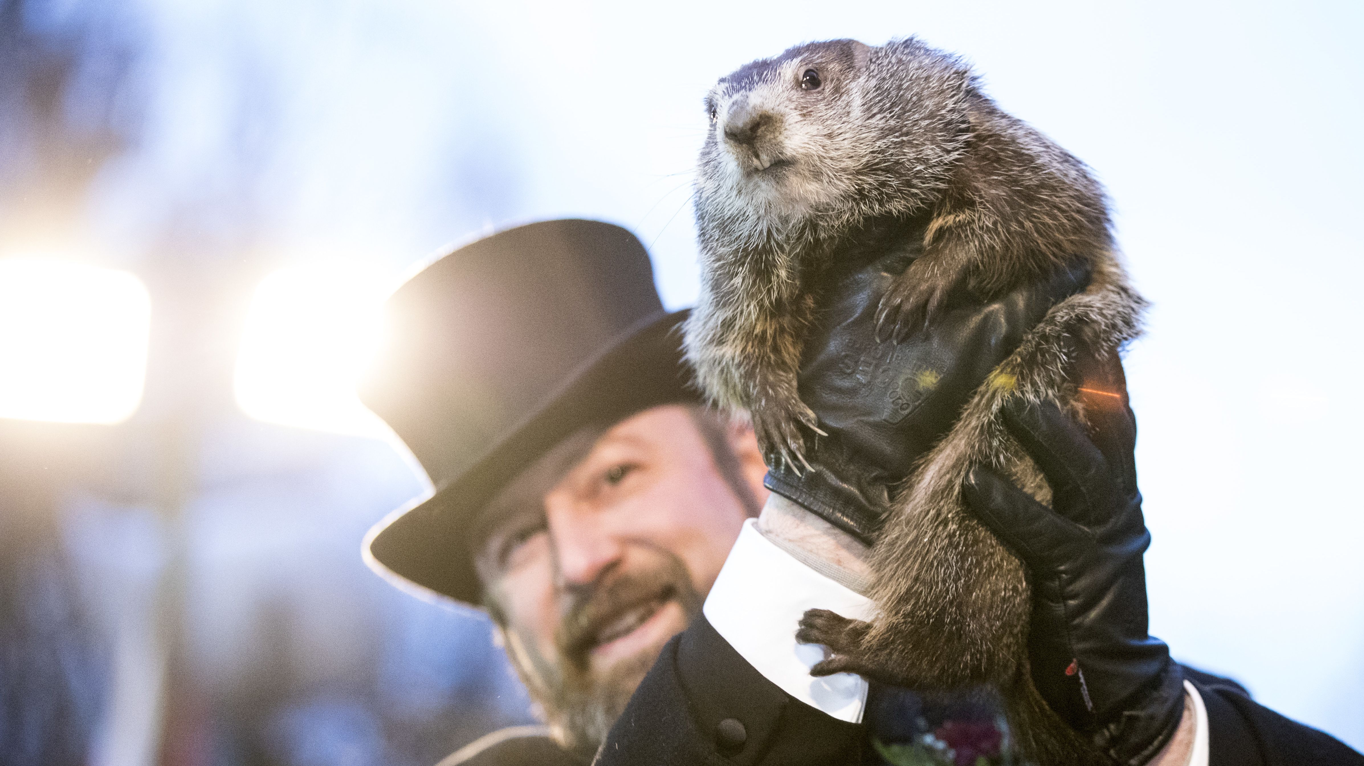 Why is Punxsutawney's Groundhog Called Phil? | Mental Floss