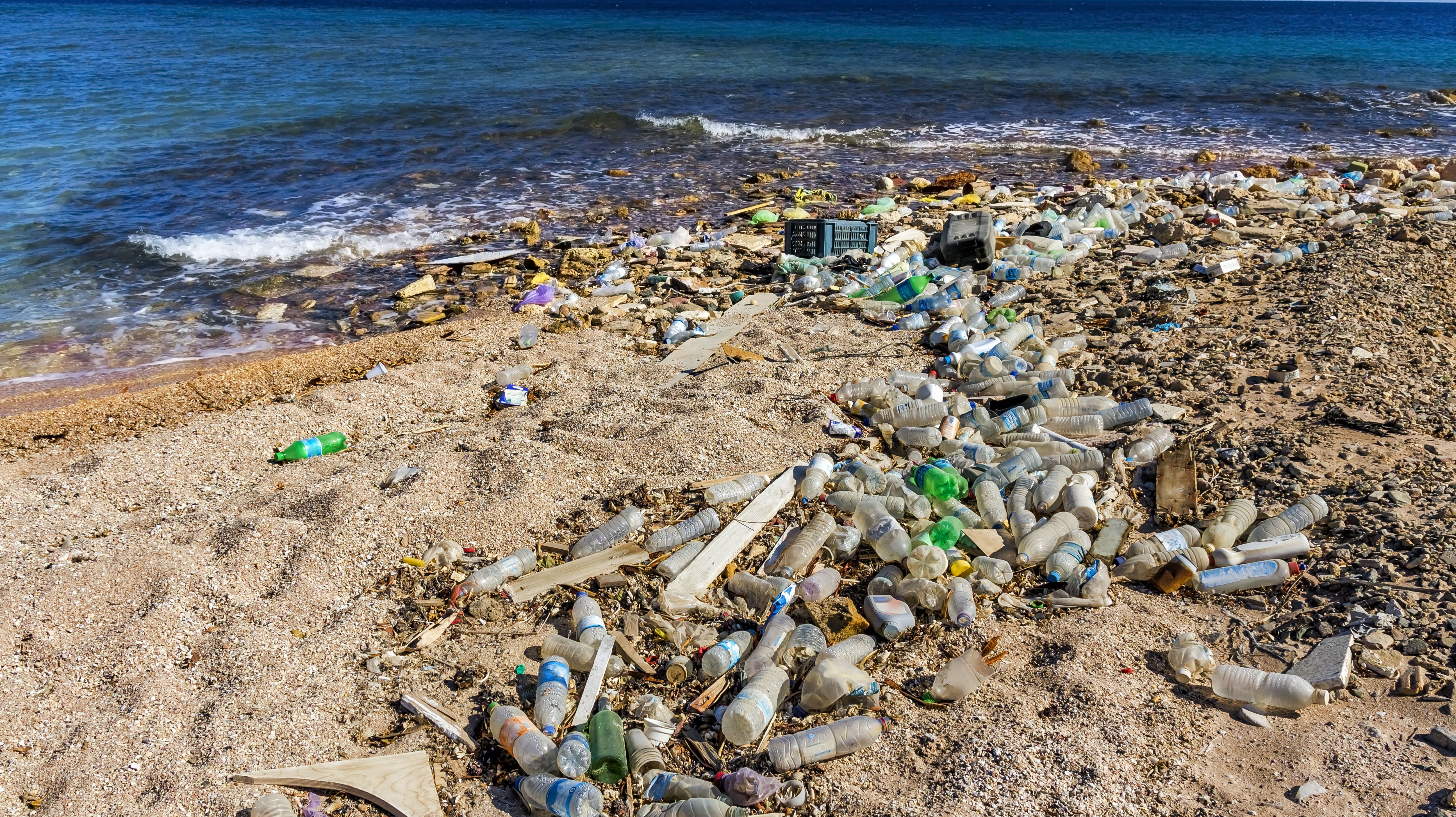 Scientists Accidentally Make PlasticEating Bacteria Even More