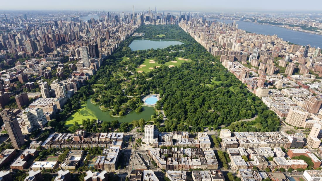 Znalezione obrazy dla zapytania central park