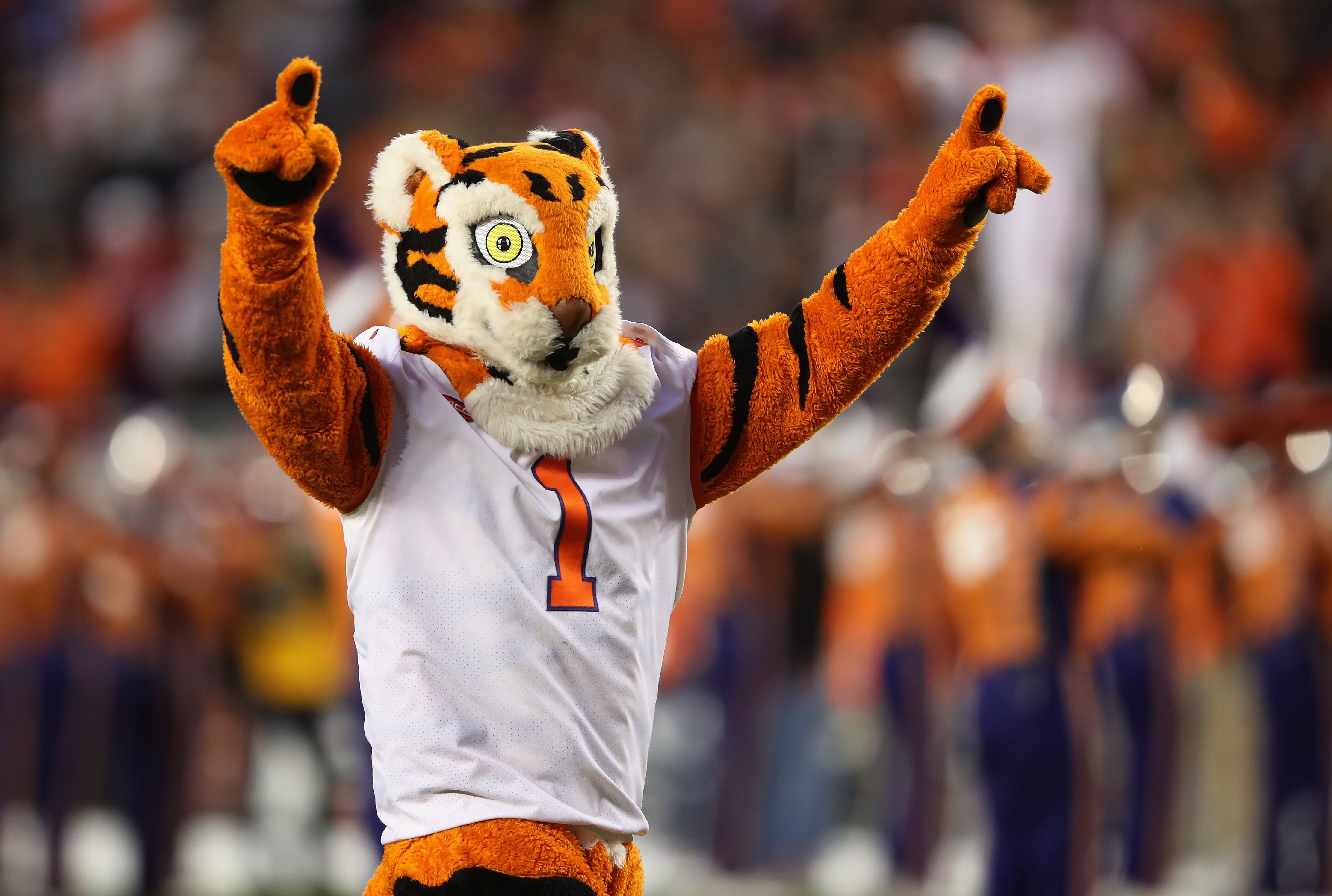 11 Colleges That Changed Their Mascots Mental Floss