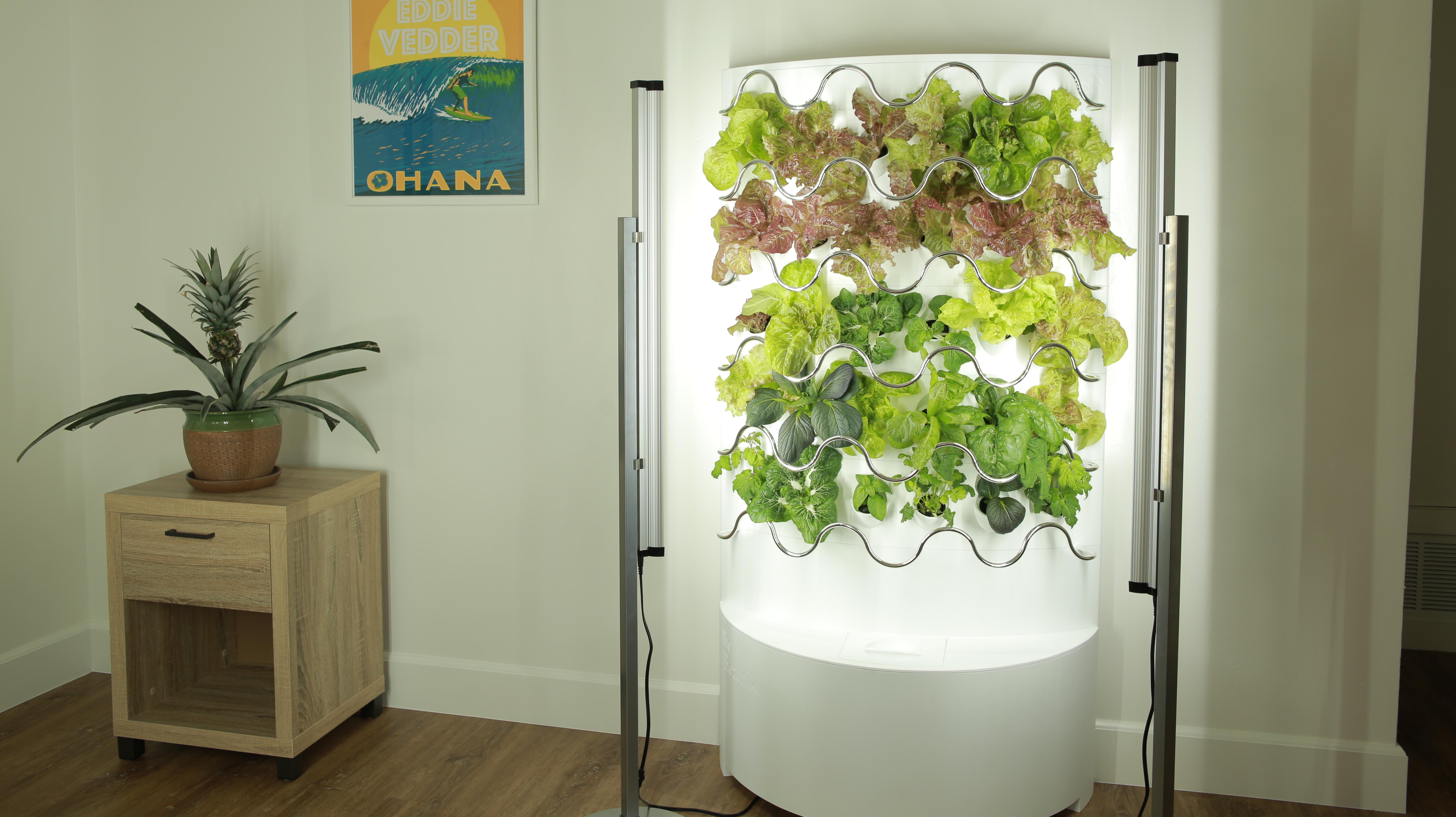 This Indoor Garden Grows Up To 30 Fruits And Vegetables With Little Maintenance Required Mental Floss