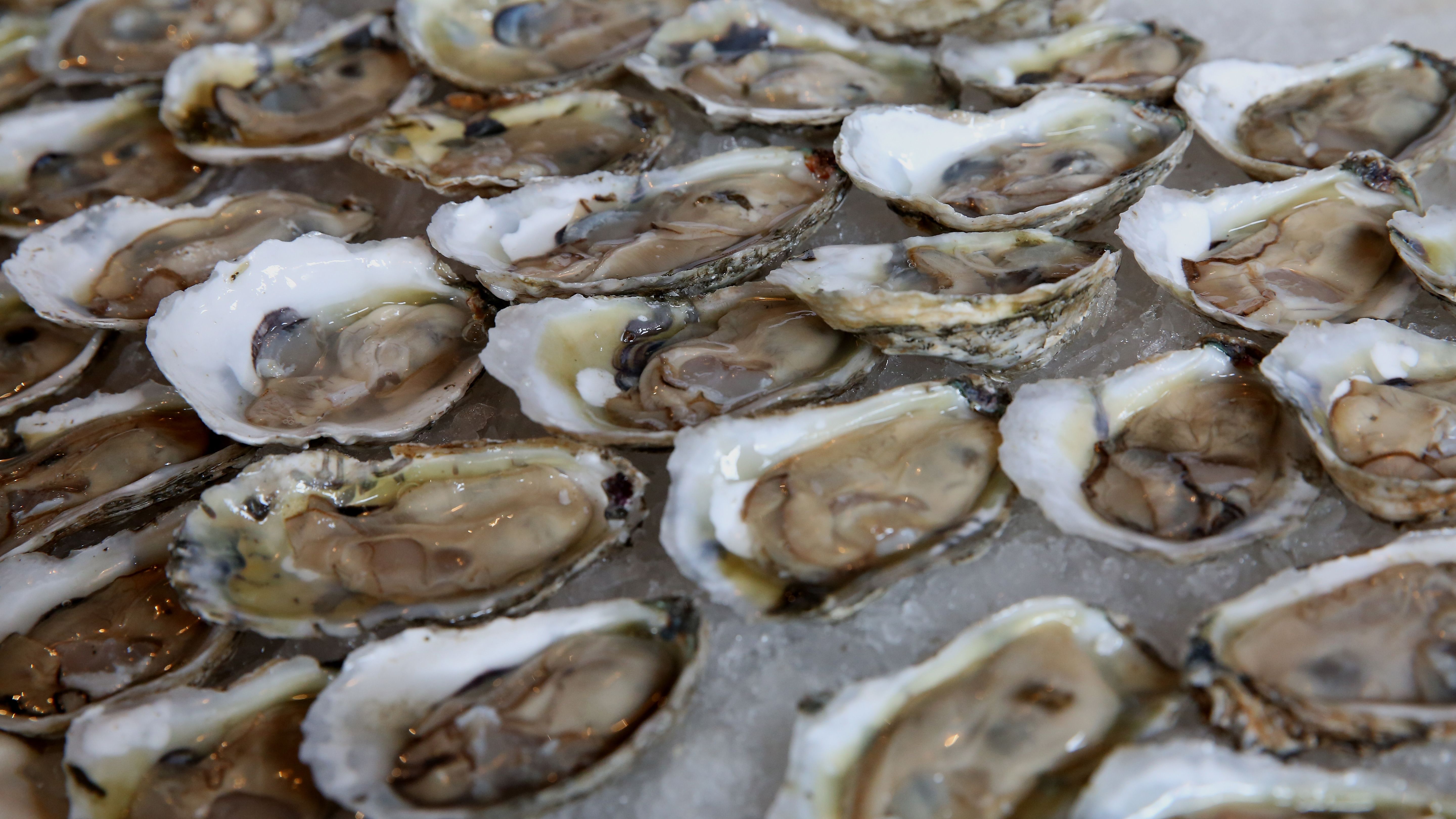 Mollusk Mania Why New York City Could Have Easily Been Dubbed The Big Oyster Mental Floss