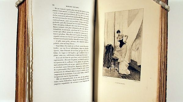 Madame bovary essay topics image