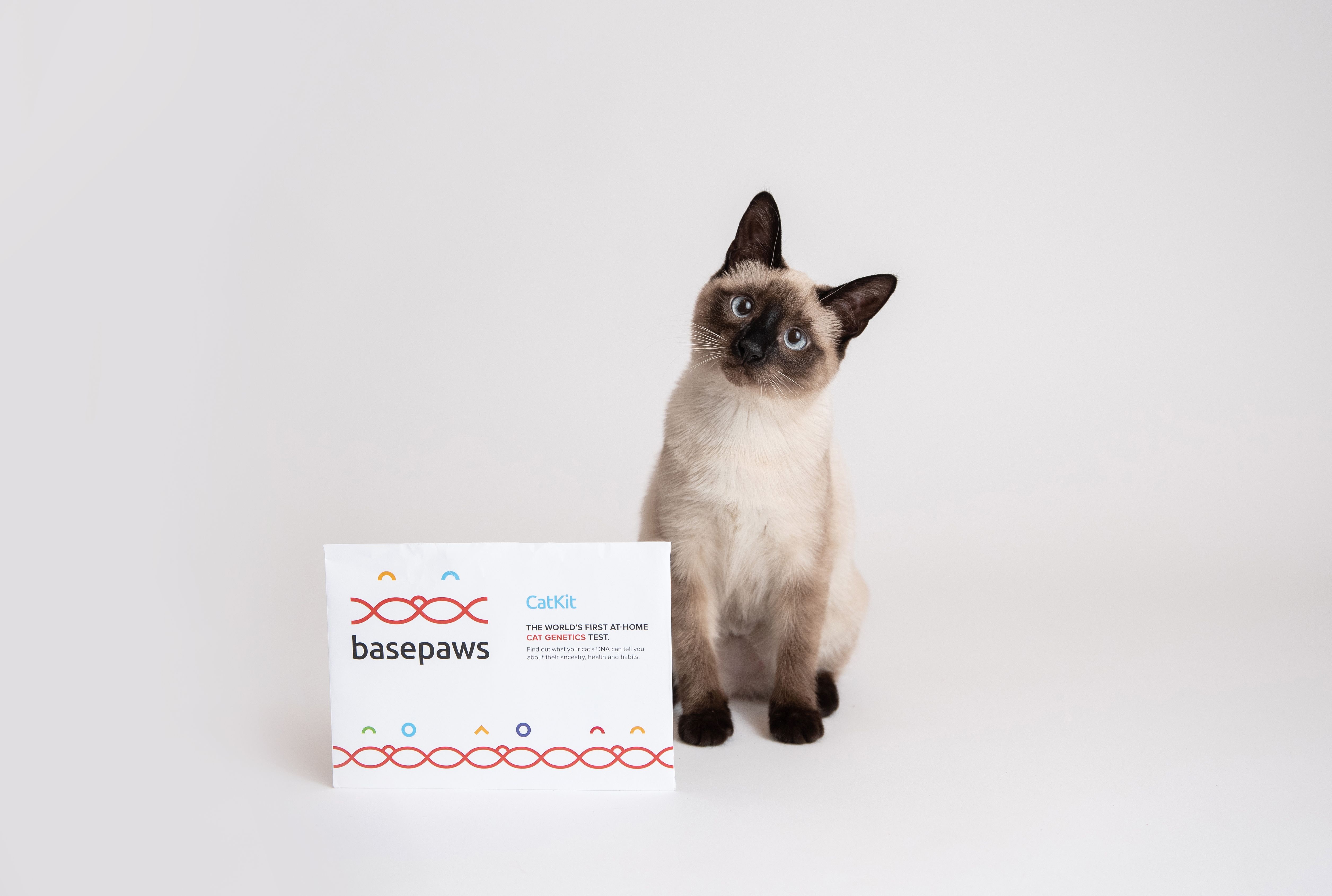 A New Dna Test Will Break Down Your Cat S Breed Mental Floss