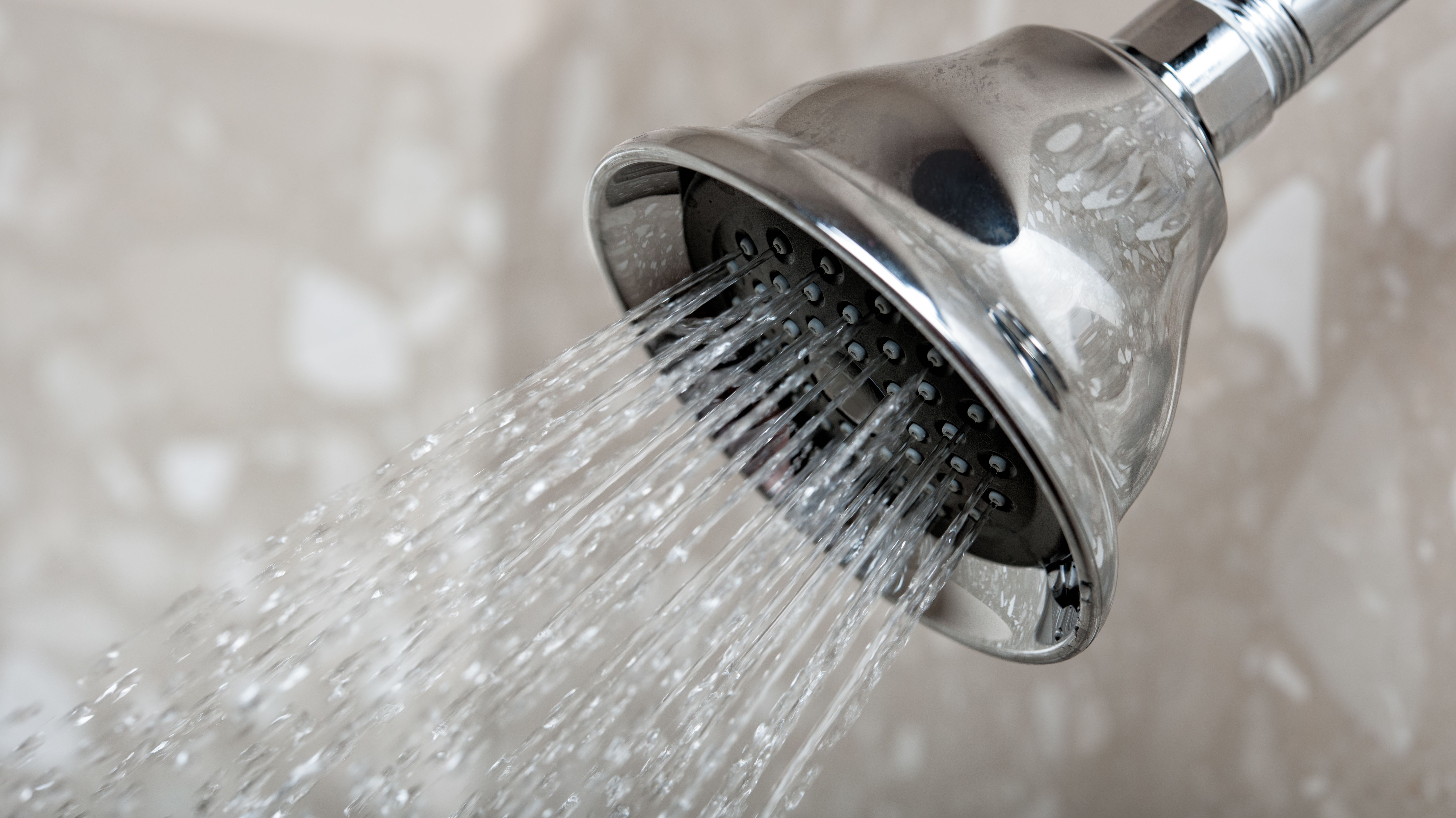 Your Showerhead Is Really Gross—and It Might Make You Sick Mental Floss