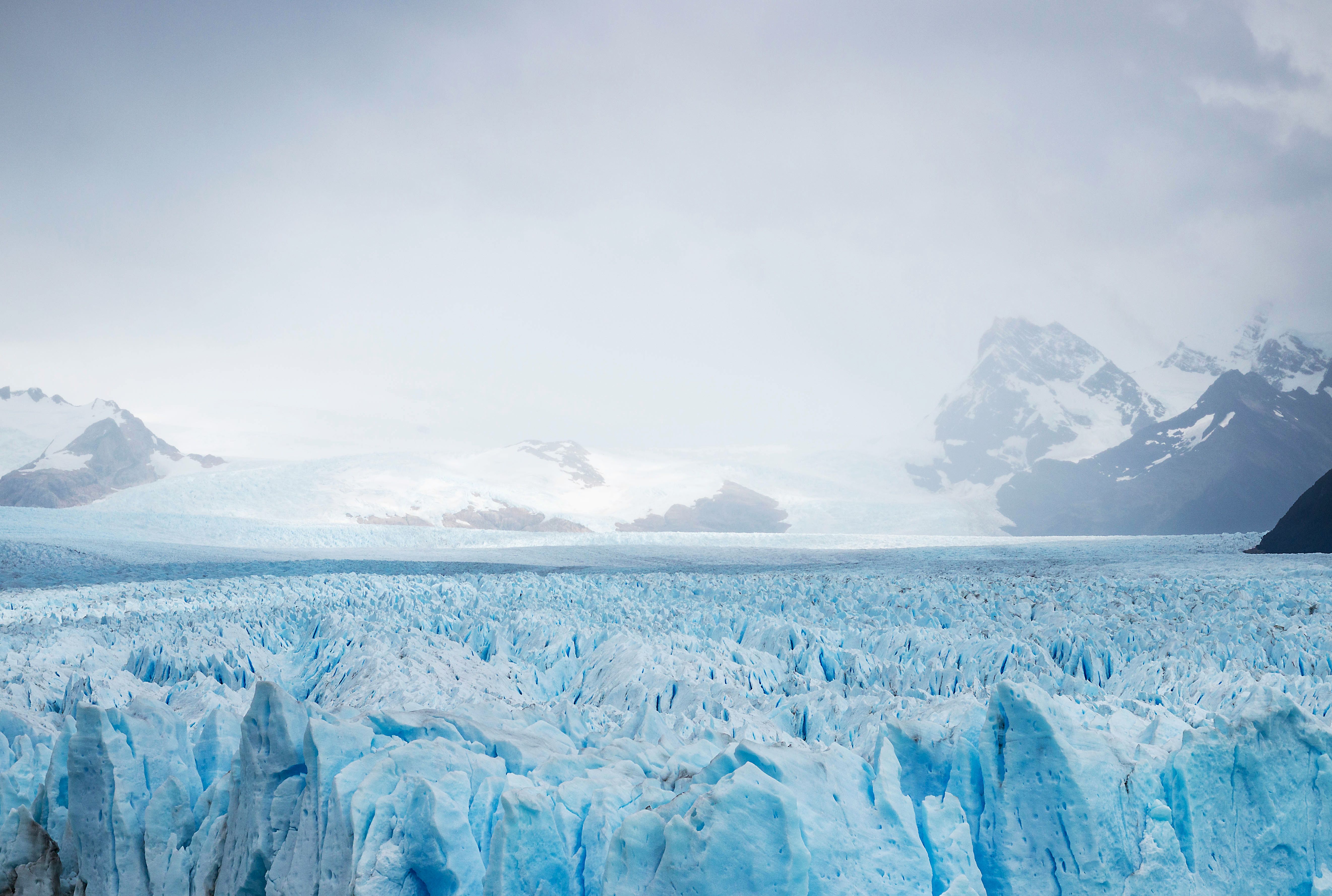 antarctica - Trivia, Quizzes, and Brain Teasers | Mental Floss