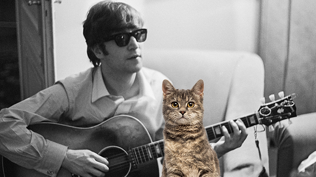 John Lennon Was A Crazy Cat Lady Mental Floss