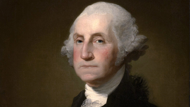 Washington wig clearance