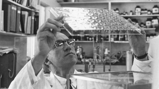 10 Scientists Who Experimented on Themselves - Vimarsana News