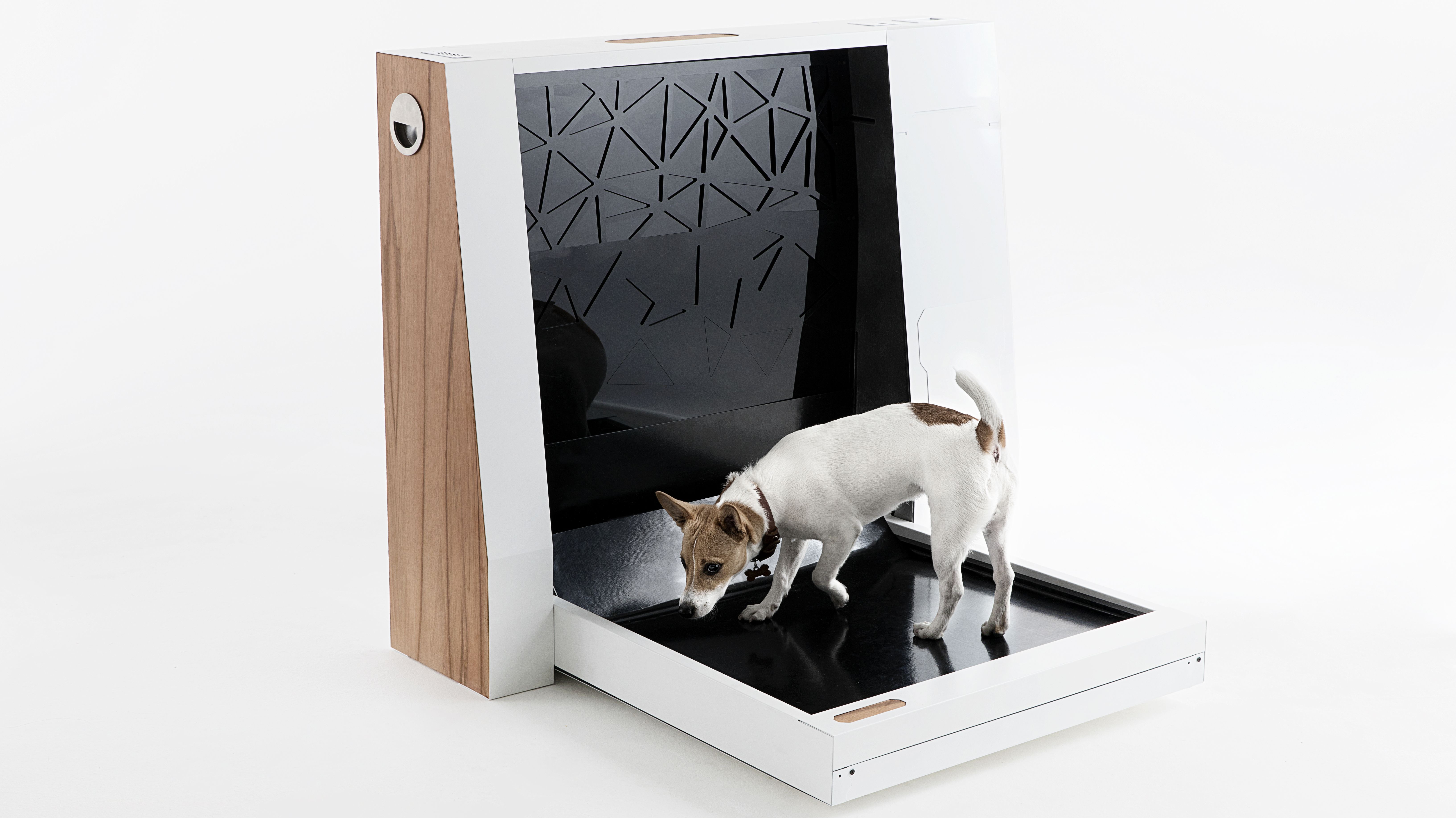 The World’s First Smart Toilet for Dogs Has Arrived Mental Floss