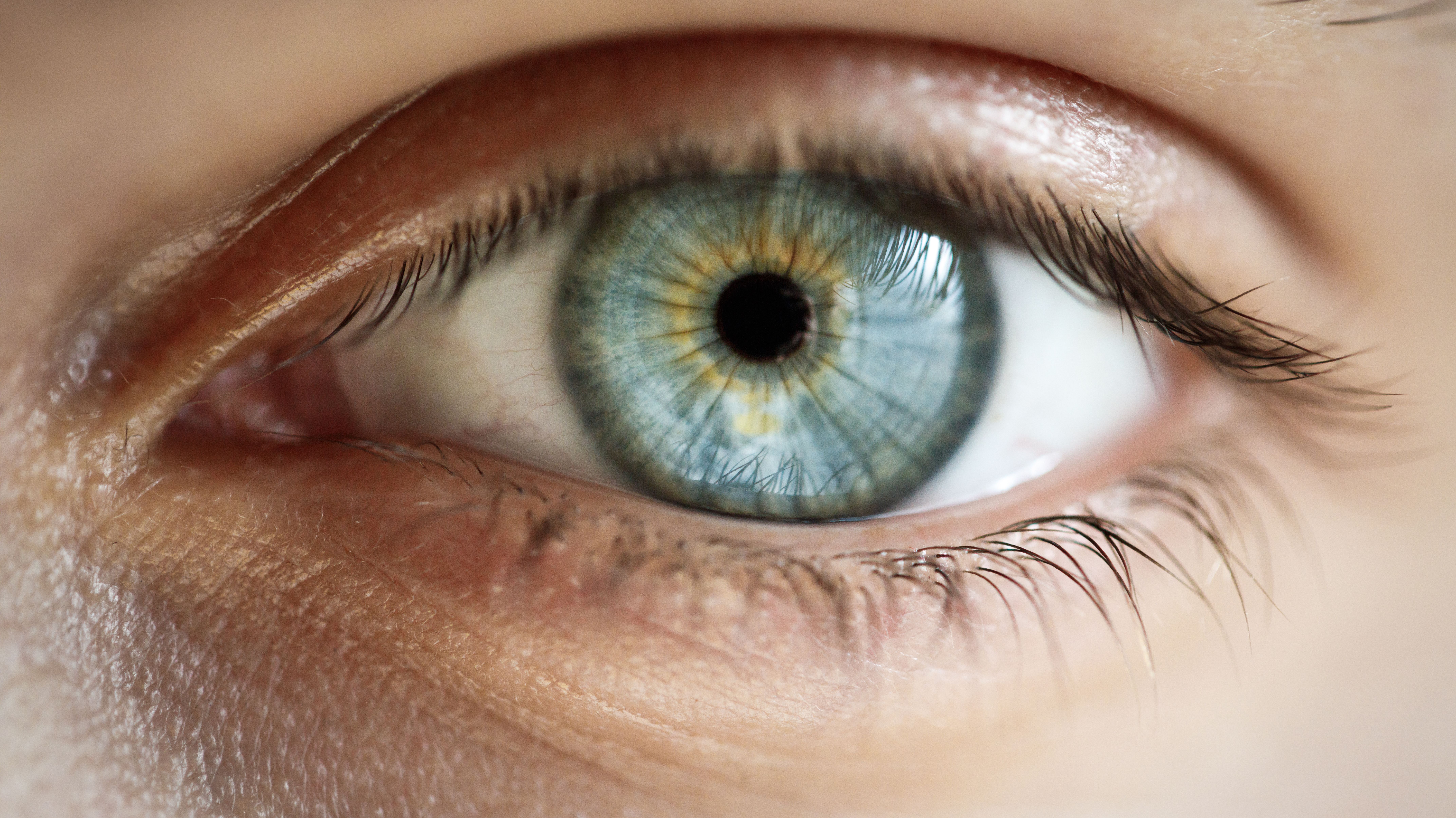 Why This Blurry Optical Illusion Disappears If You Stare At It Mental Floss