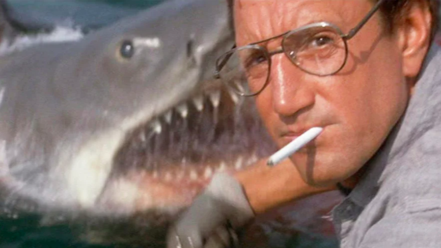 /'Gonna Need a Bigger Boat/' Movie Hoodie Inspired by Jaws Hoody