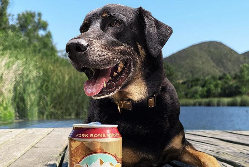 busch light dog collar