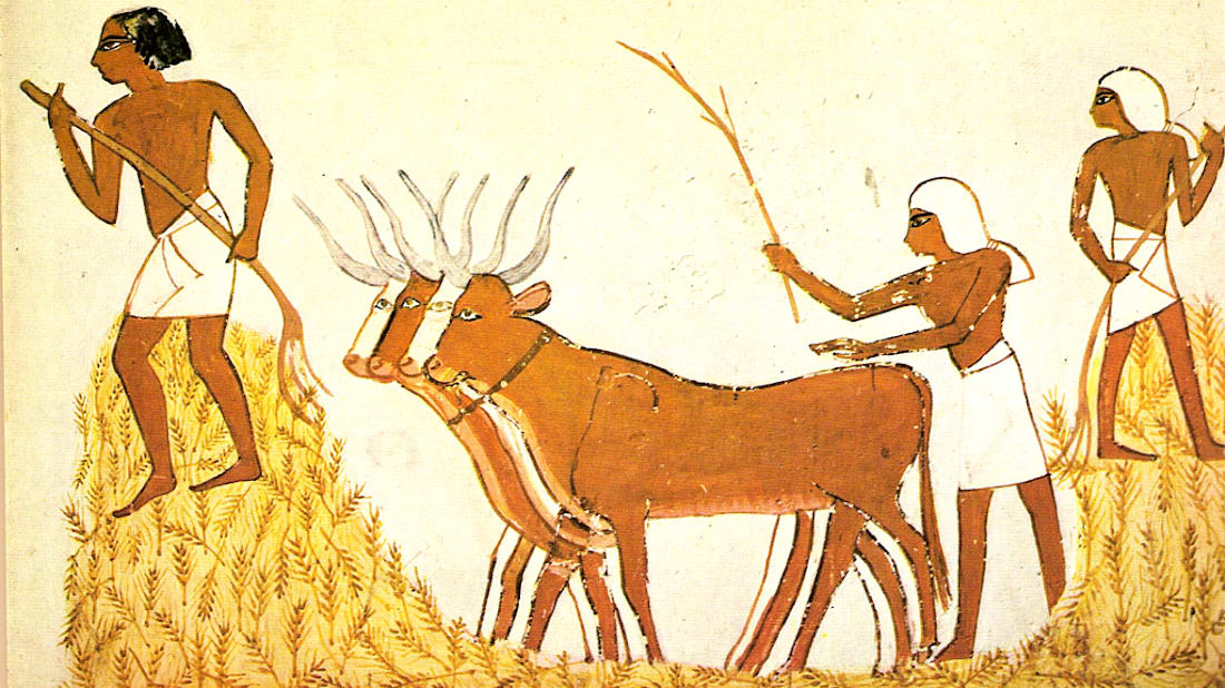 Carlos E. Solivérez, Wikimedia Commons // Public Domain