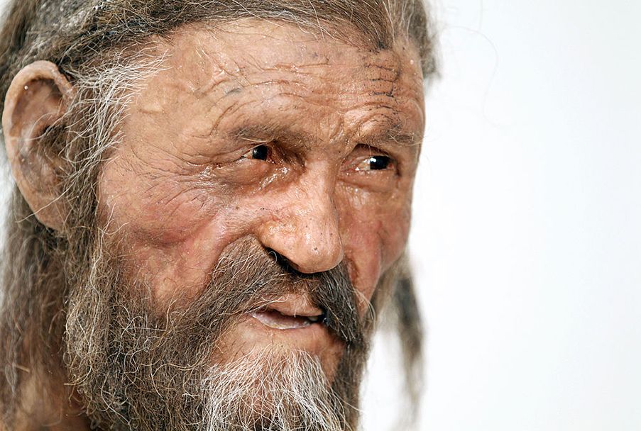 13 Cool Facts About Otzi The Iceman Mental Floss