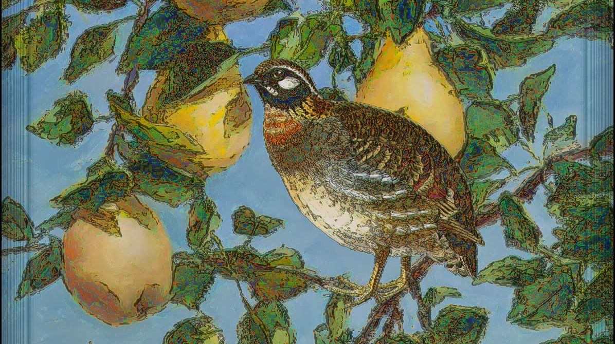 13 Alternative Lyrics From The Twelve Days Of Christmas Mental Floss the twelve days of christmas