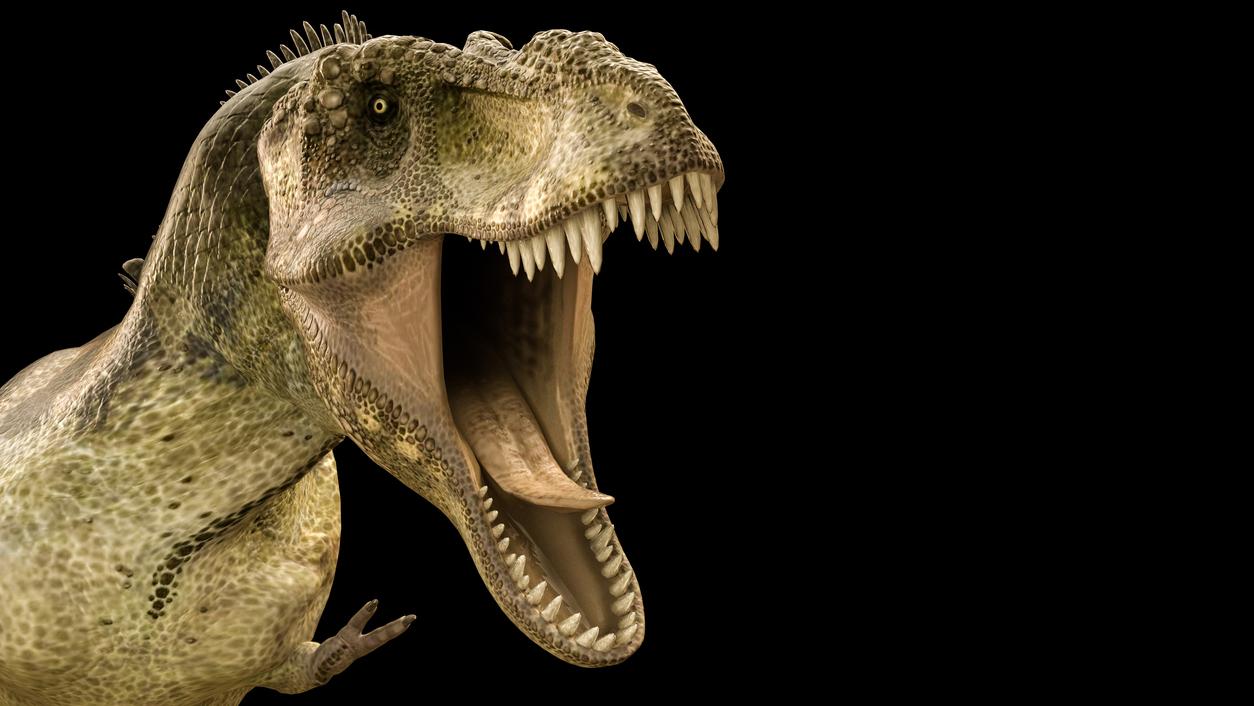 Dinosaurs Were Plagued By Parasites Their Fossilized Dino Poop Tells