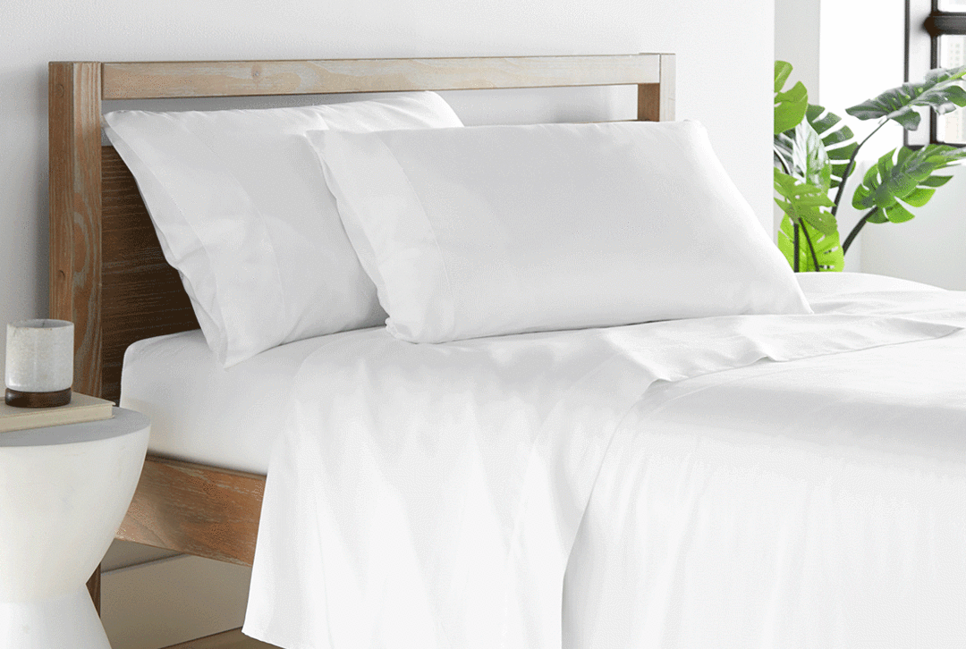 beckham luxury pillows