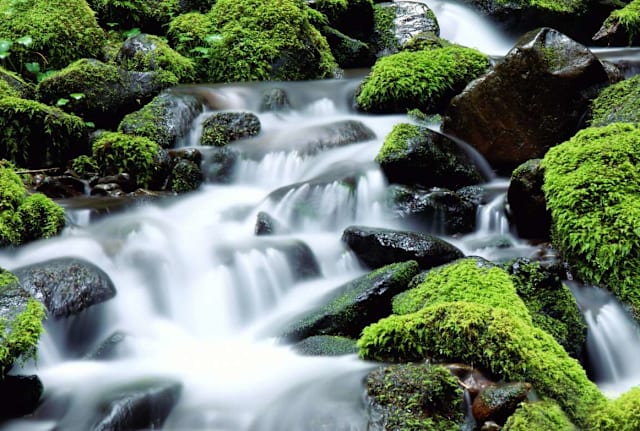 Olympic National Park in Washington.