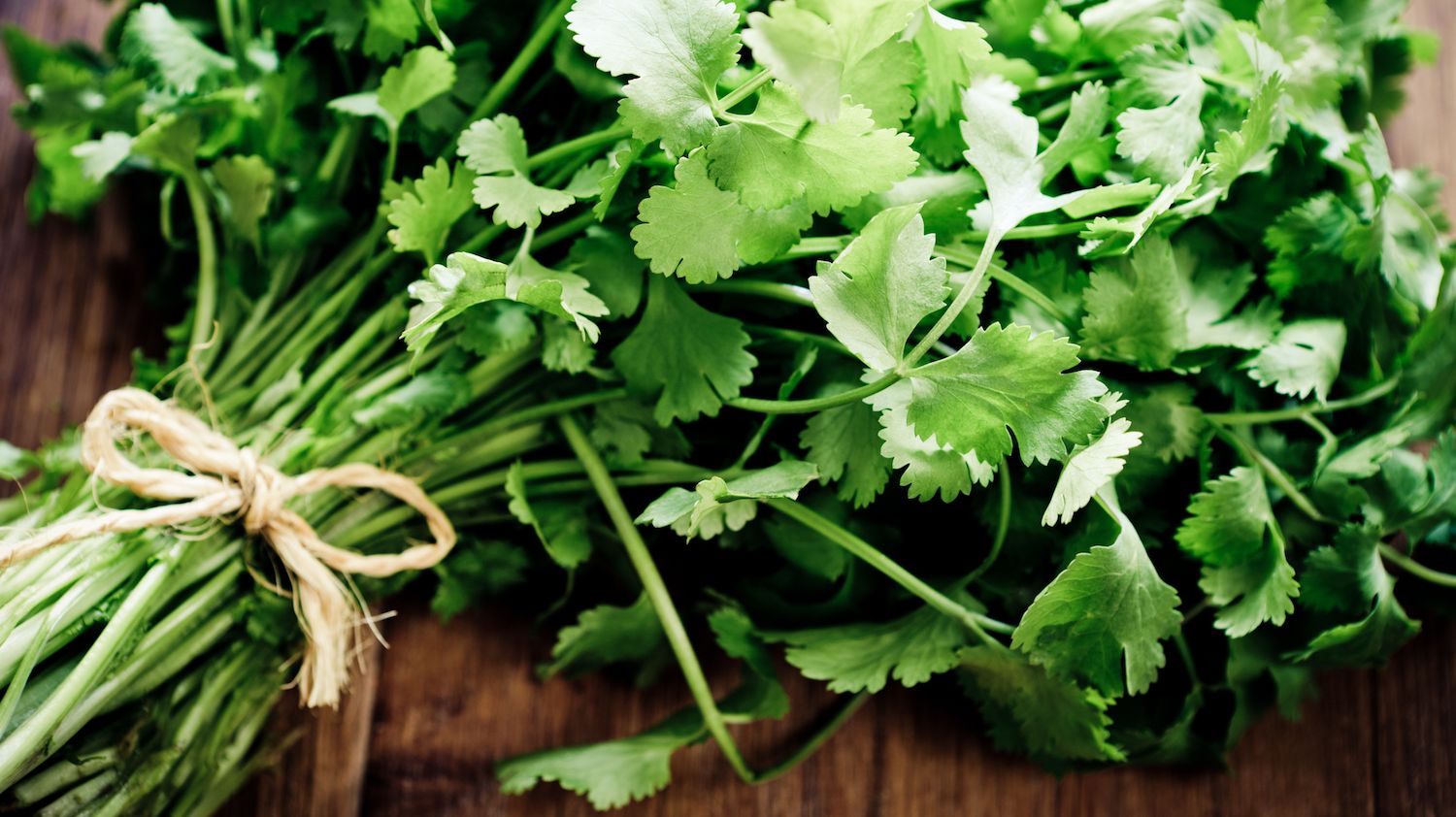 Why Does Cilantro Taste Like Soap To Some People? | Mental Floss