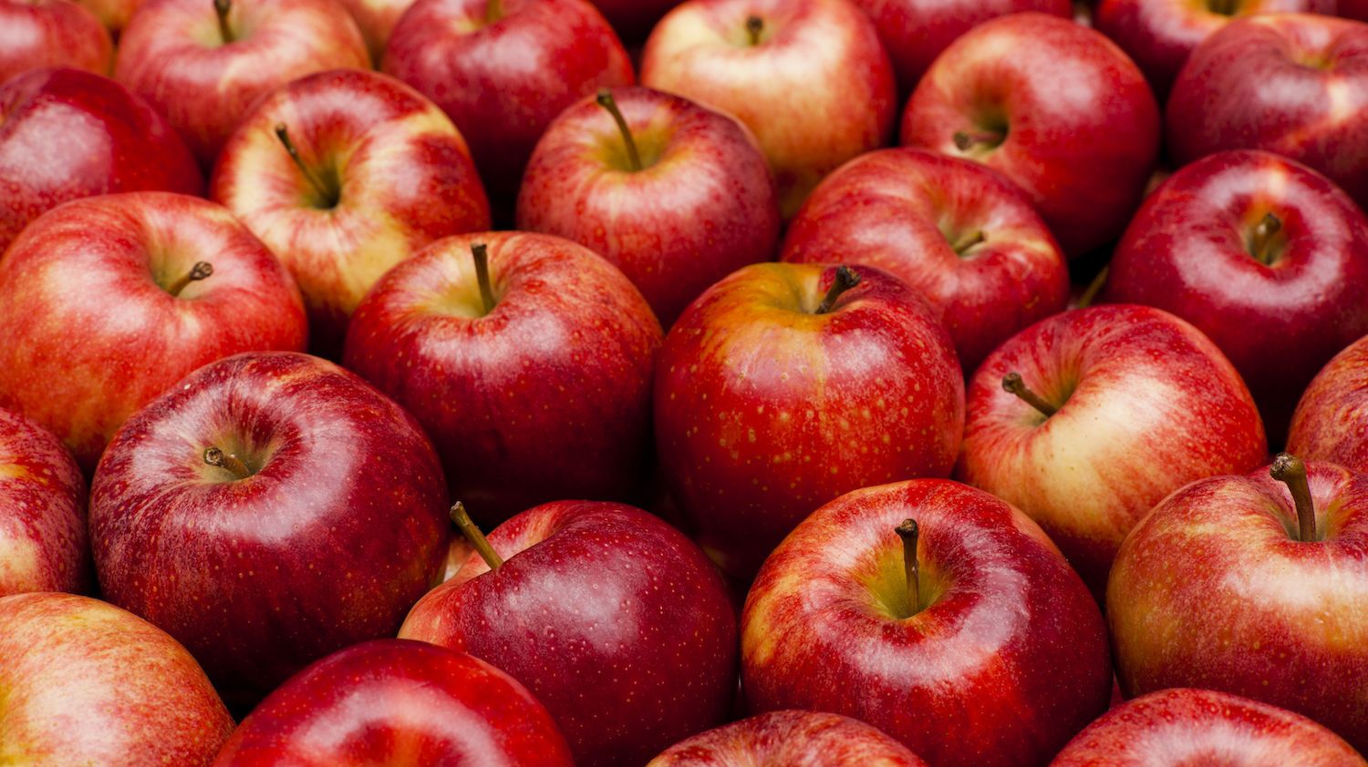 What Are Those Tiny Spots On Apples Mental Floss