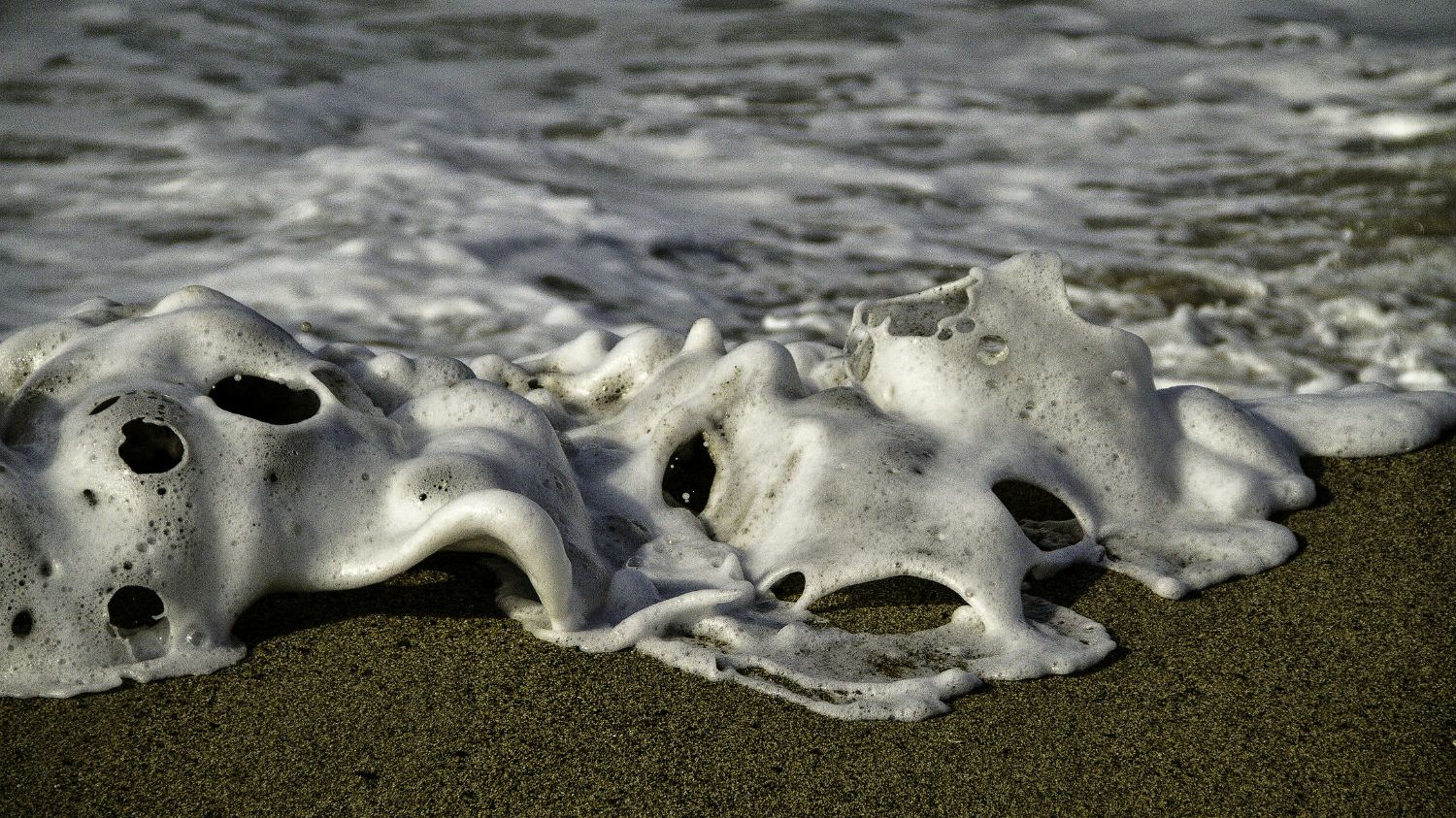 deep sea creatures washed up on shore meaning