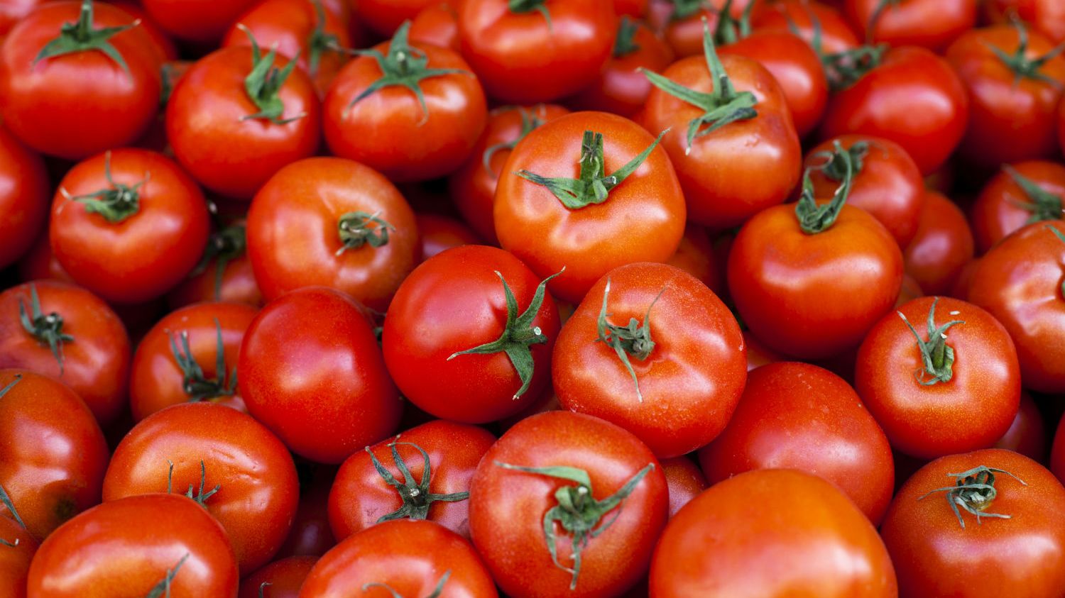 Is a Tomato a Fruit? Mental Floss