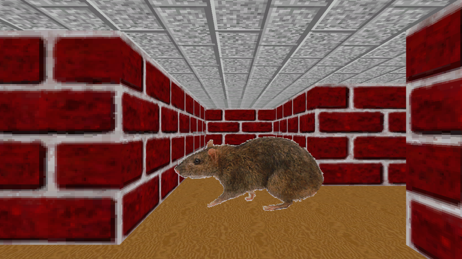 90s microsoft maze screensaver