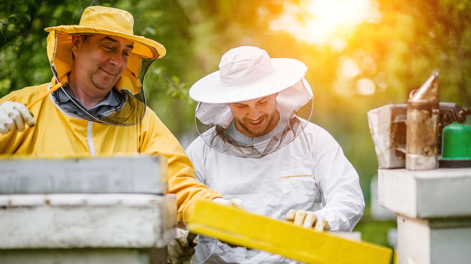 How to Harvest Honey Mental Floss