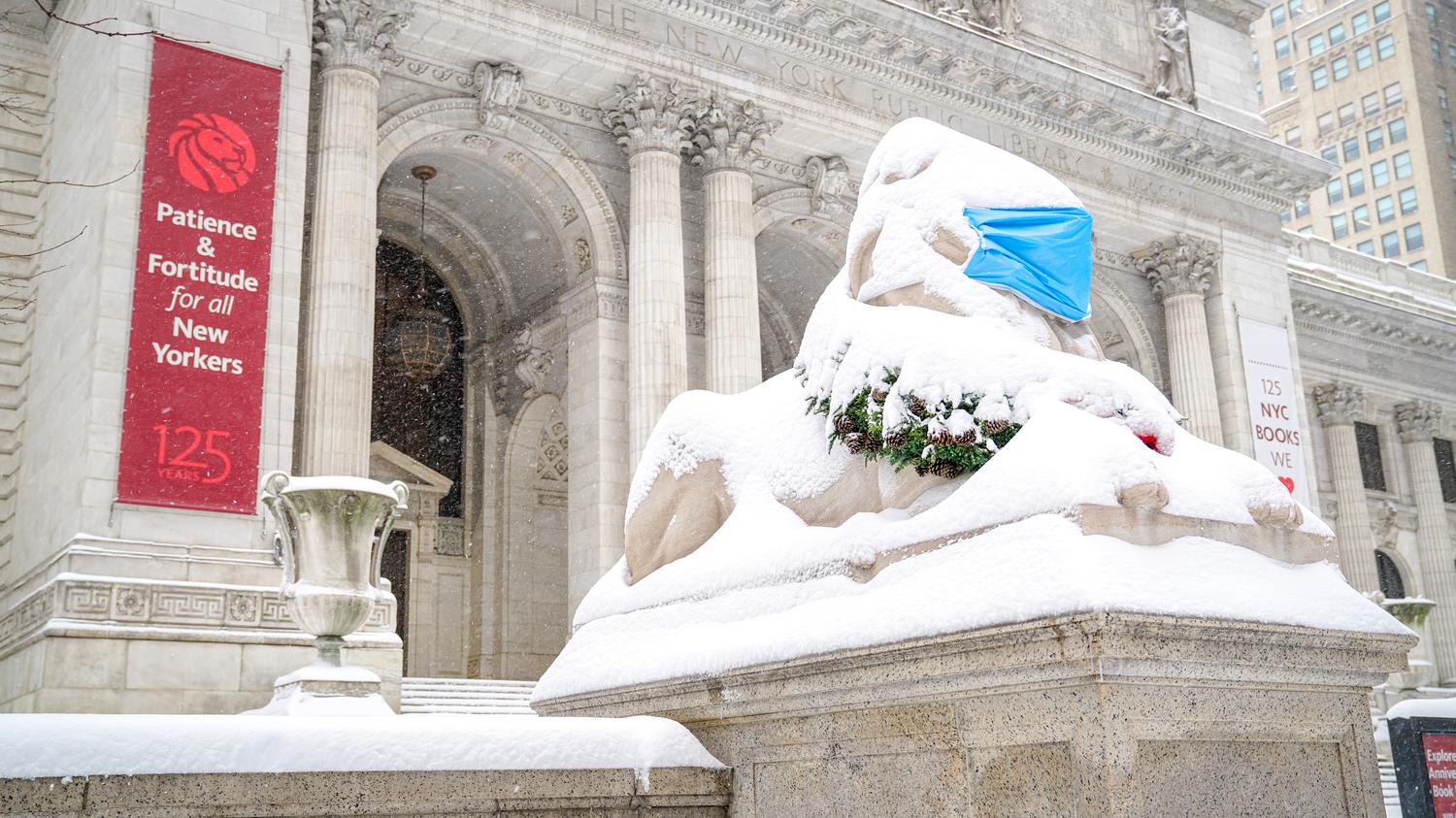 The 10 Most Checked-Out Books at the New York Public Library In 2020 - Vimarsana News