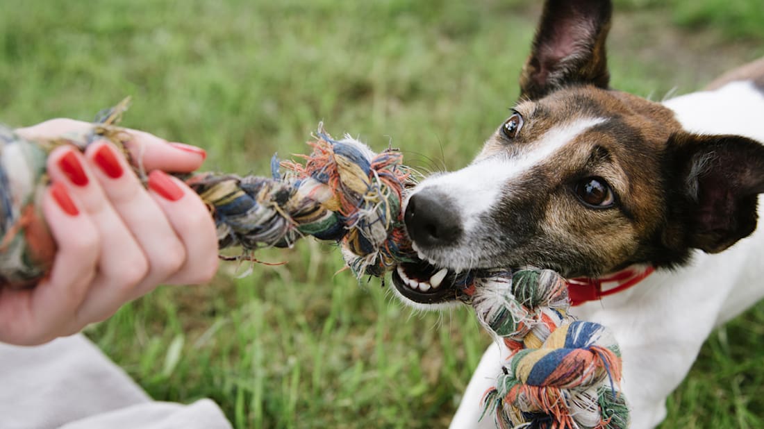 iStock