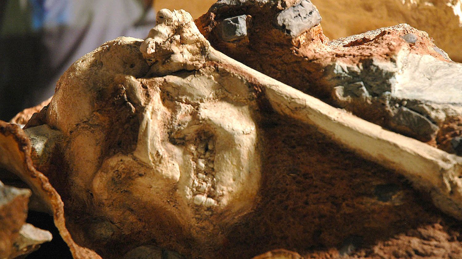most complete fossil ever found