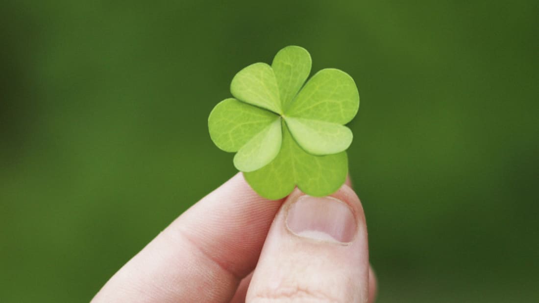 JohnnyMad/iStock via Getty Images